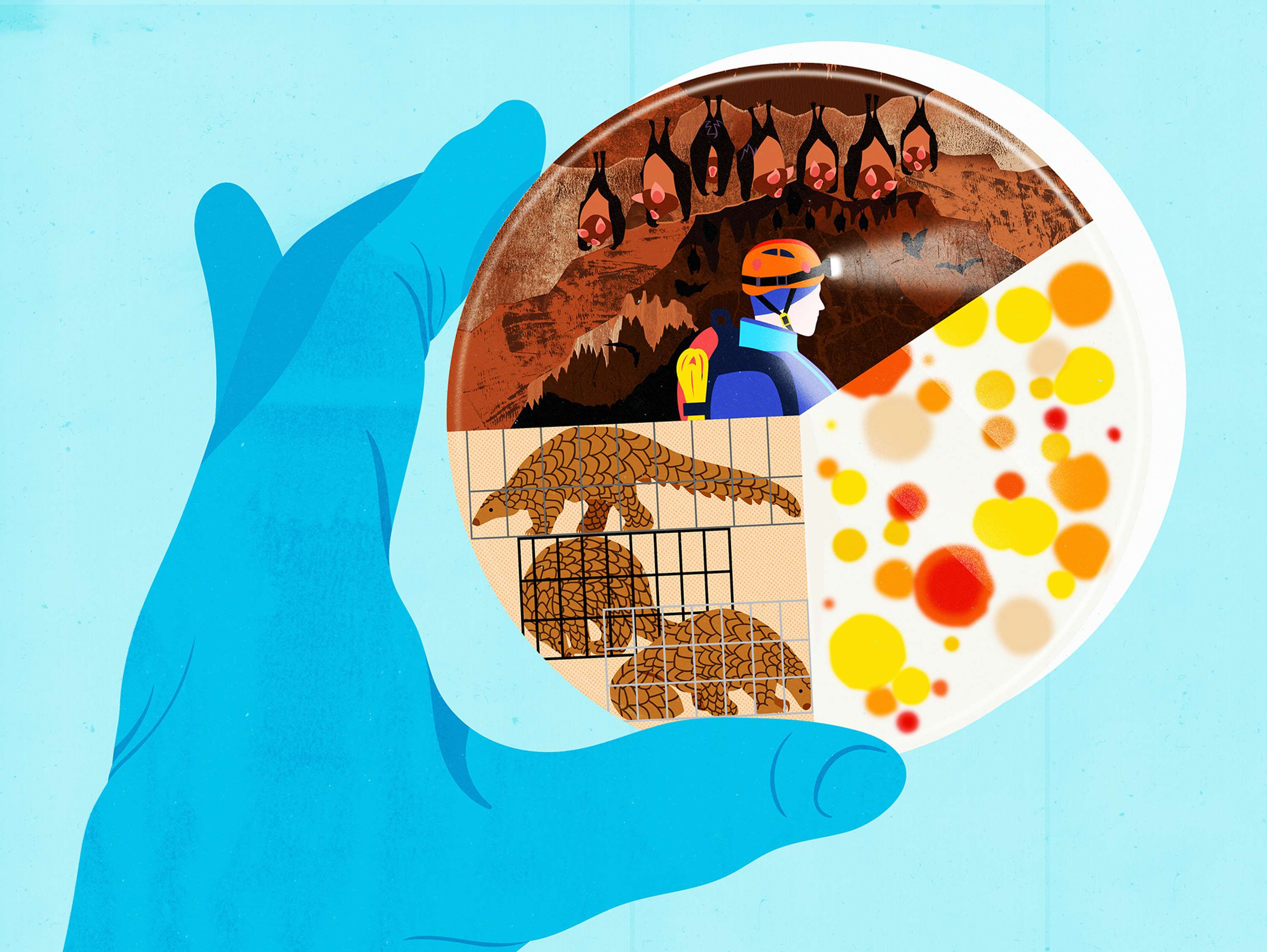 Various editorial illustrations made this year by Mitch Blunt