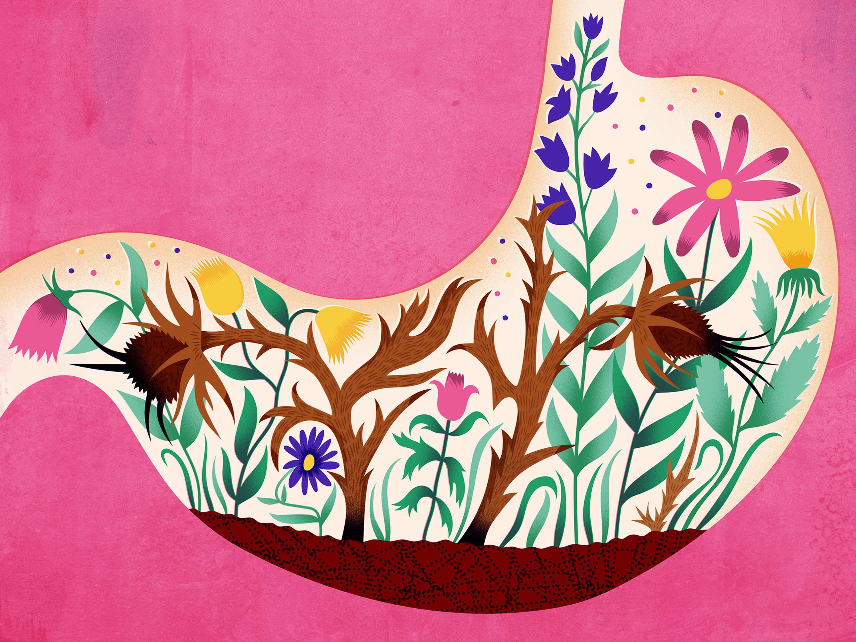 Various editorial illustrations made this year by Mitch Blunt