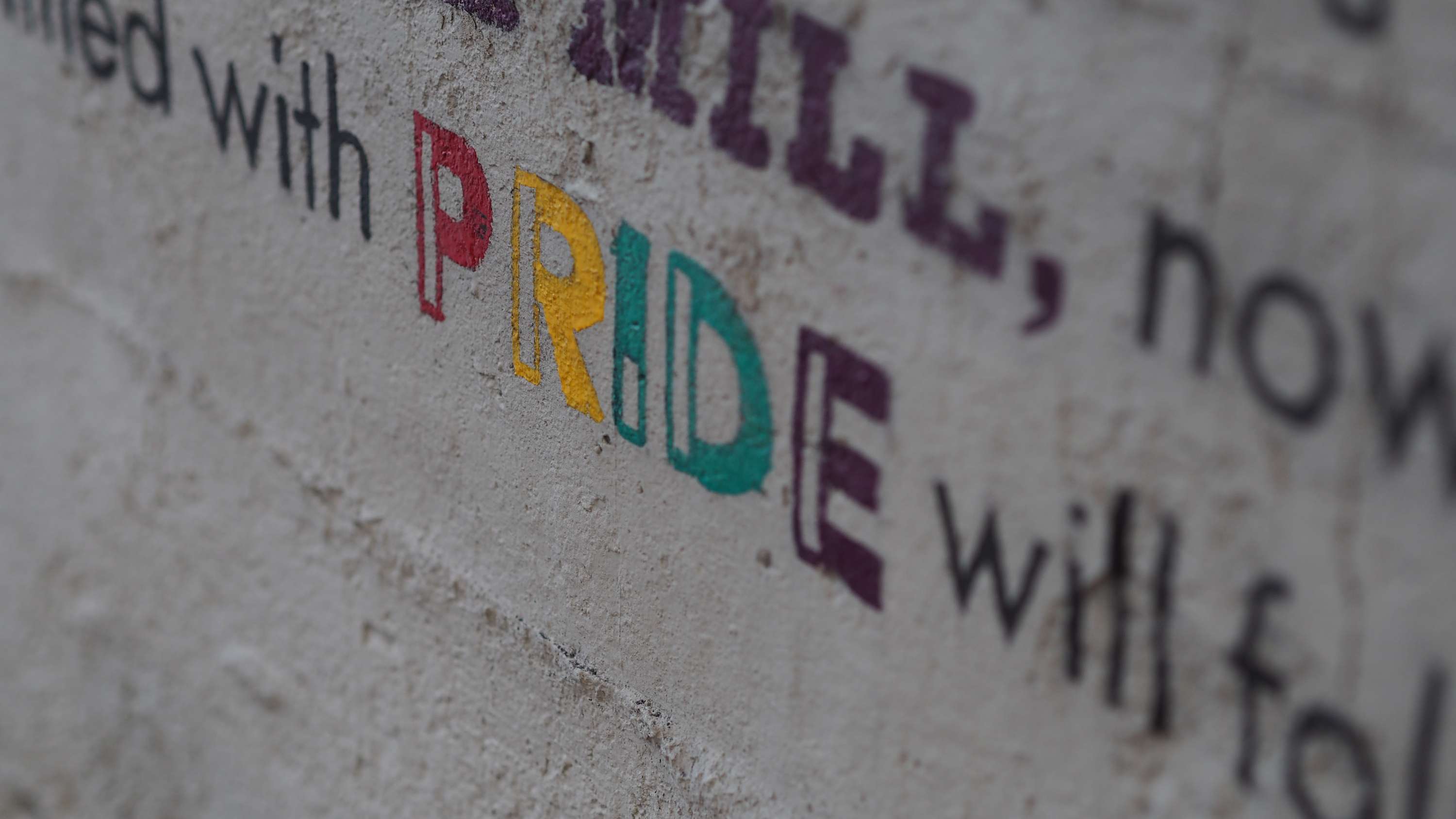 PWC - Hand painted wall art by Michelle Henry