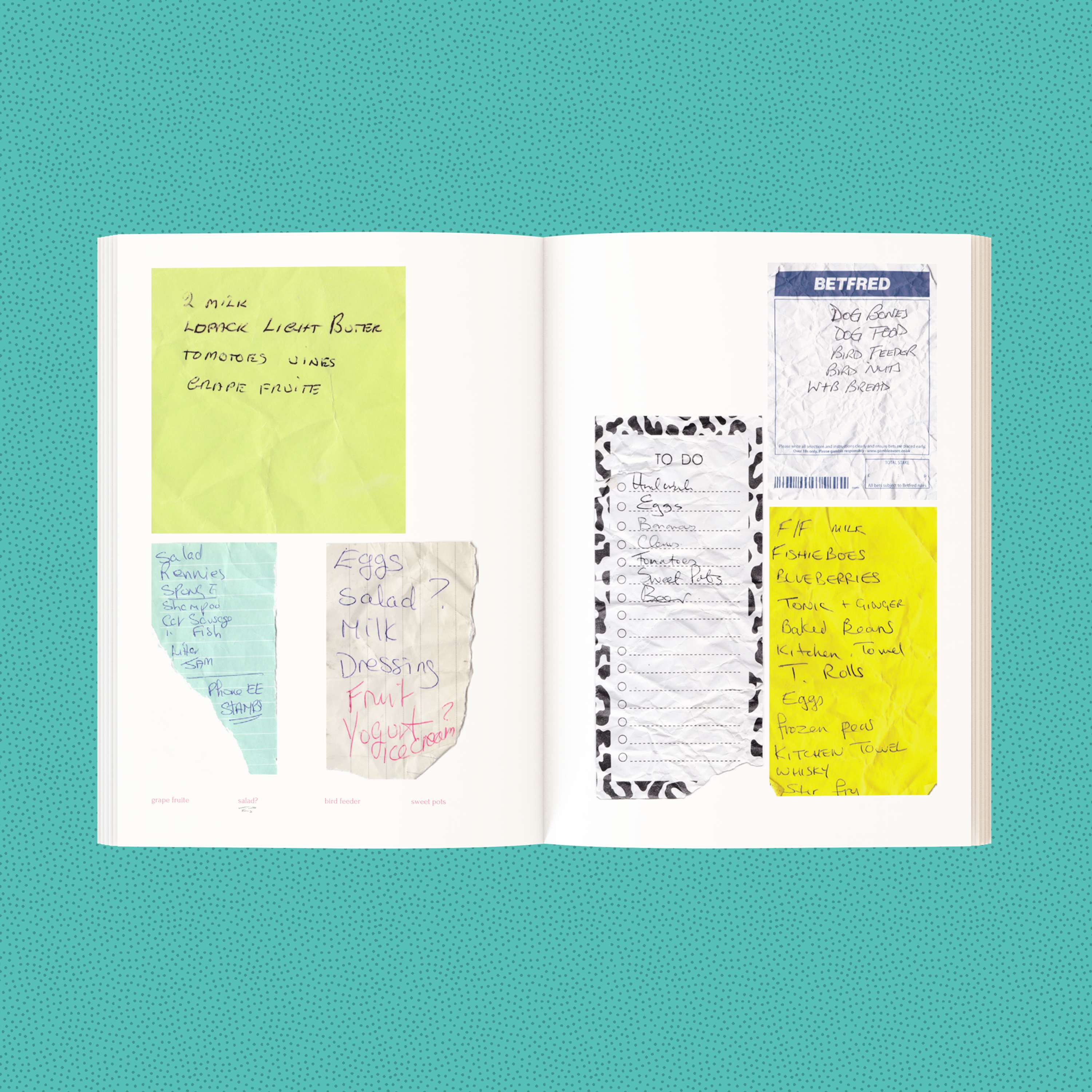 Other People's Shopping Lists by Laura Bertinelli