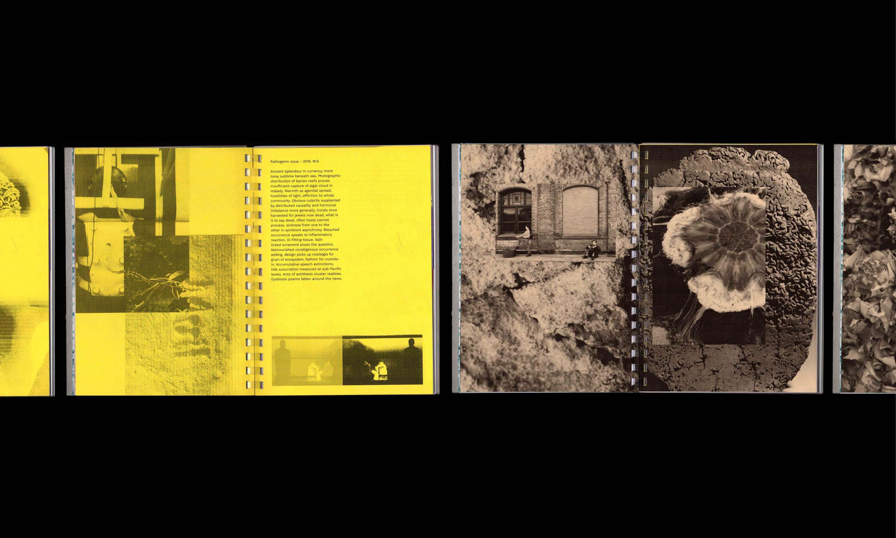 Monte Carlo 1: A+E Recordings by Lucy Watkins