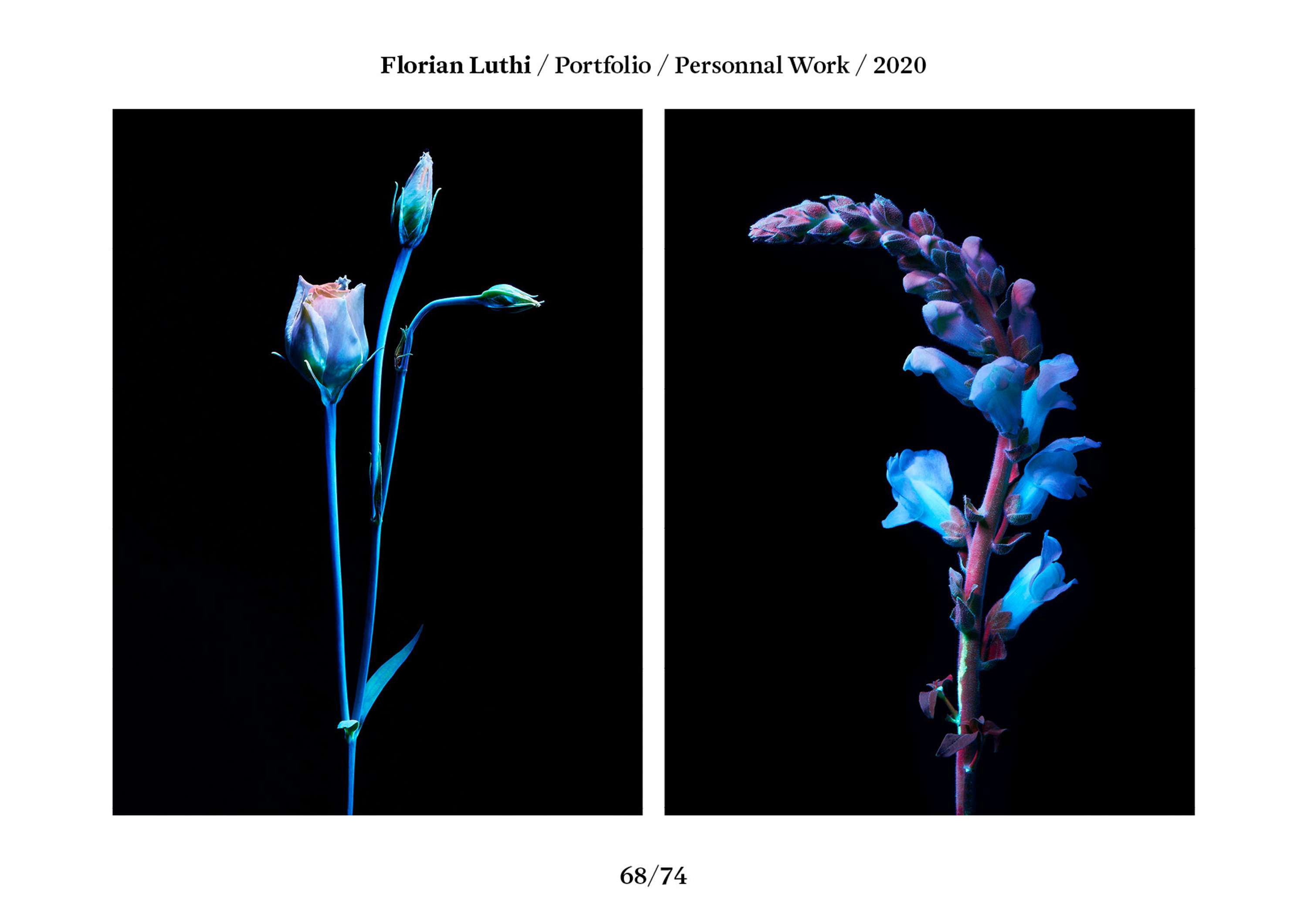 Florian Luthi / Portfolio 2020 by Florian Luthi