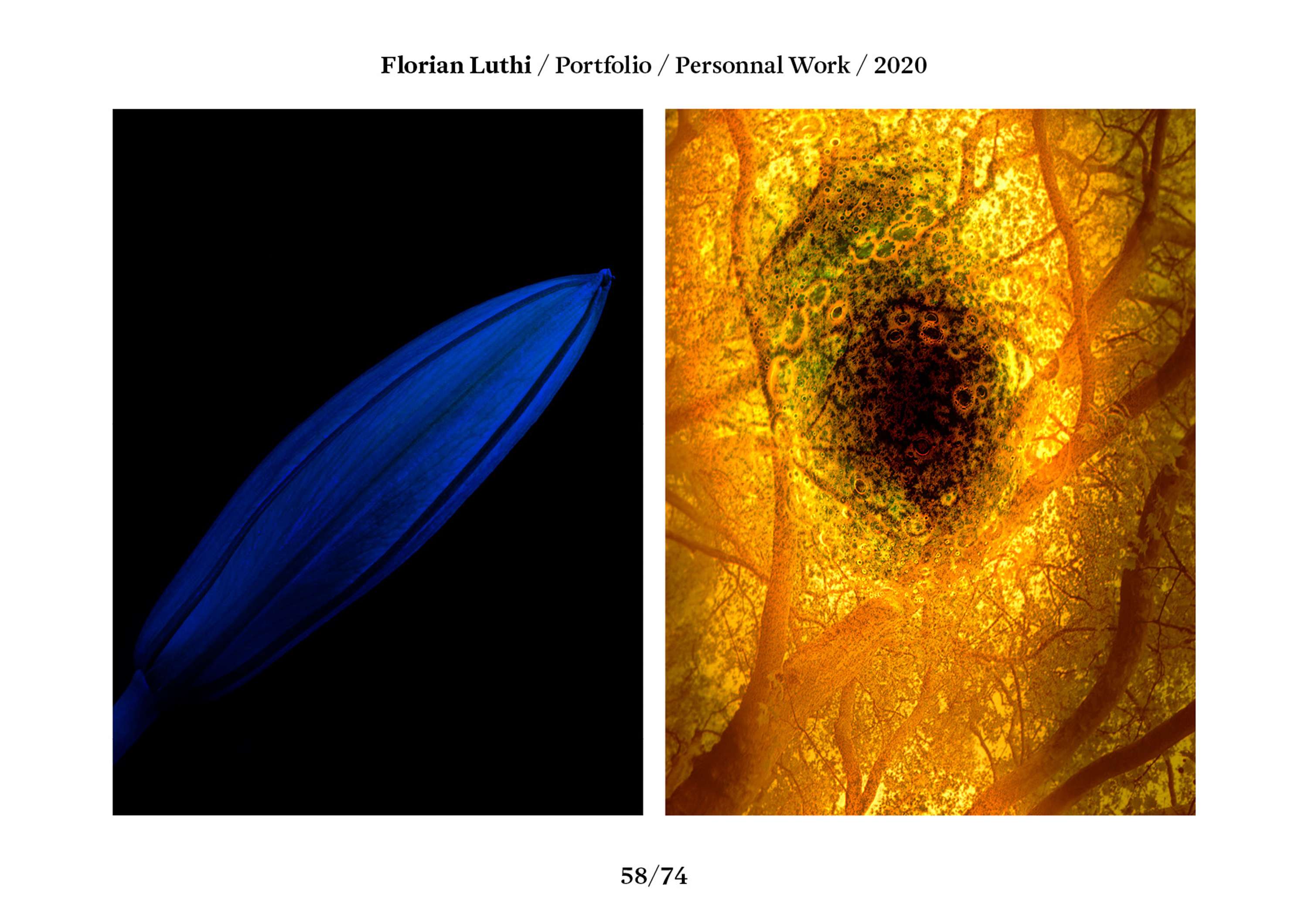 Florian Luthi / Portfolio 2020 by Florian Luthi