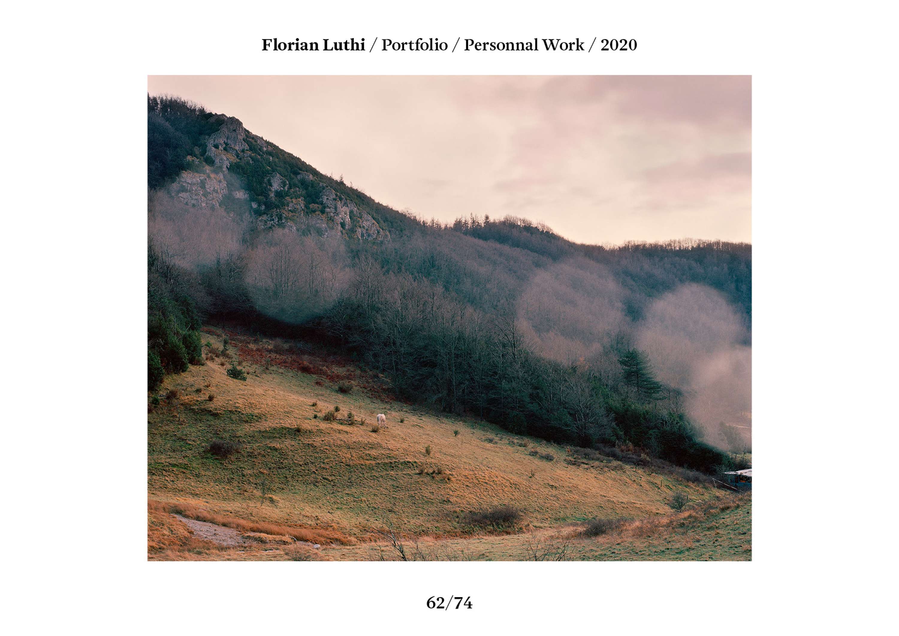 Florian Luthi / Portfolio 2020 by Florian Luthi