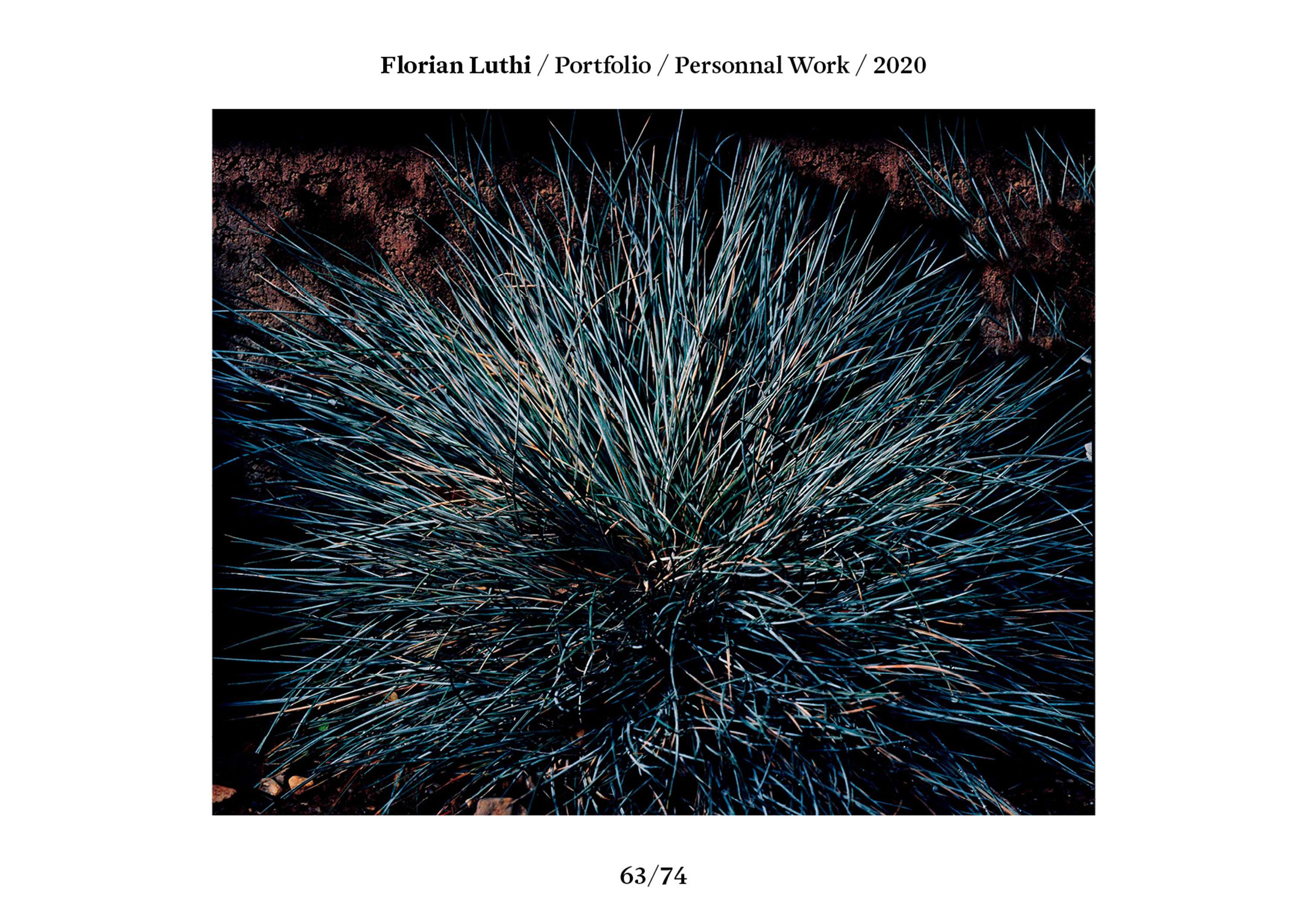 Florian Luthi / Portfolio 2020 by Florian Luthi