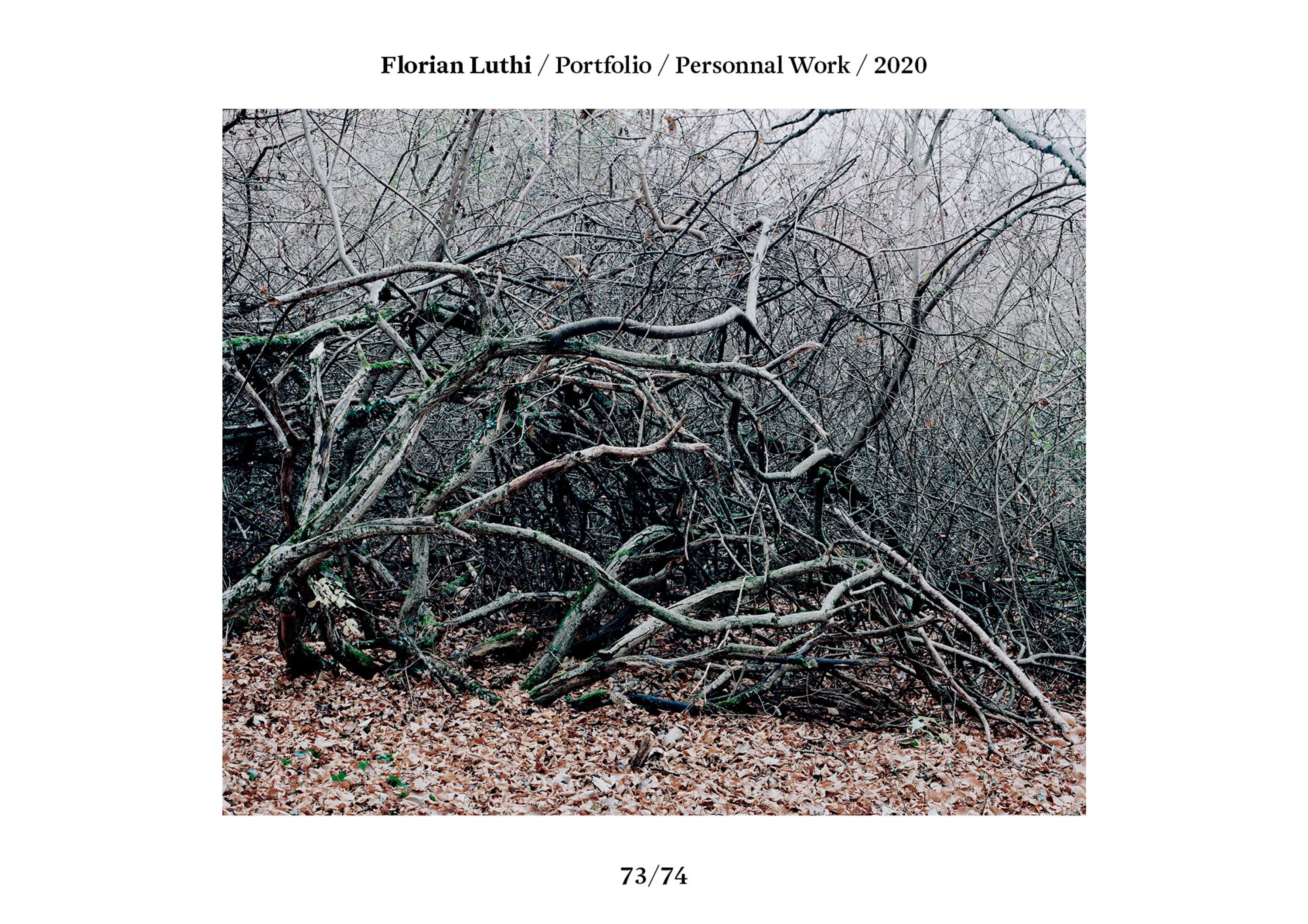 Florian Luthi / Portfolio 2020 by Florian Luthi