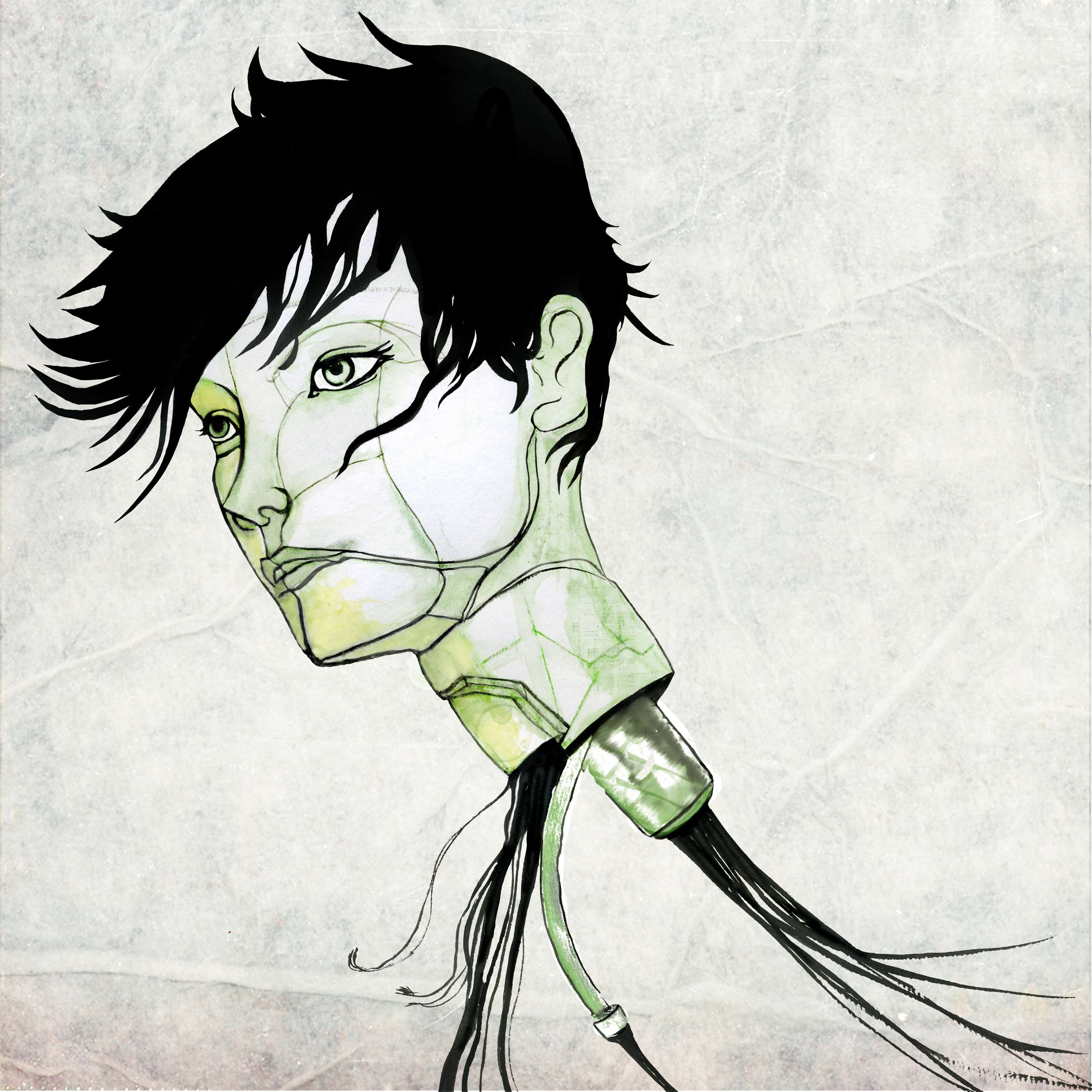 Ink illustrations by Shona Charlton