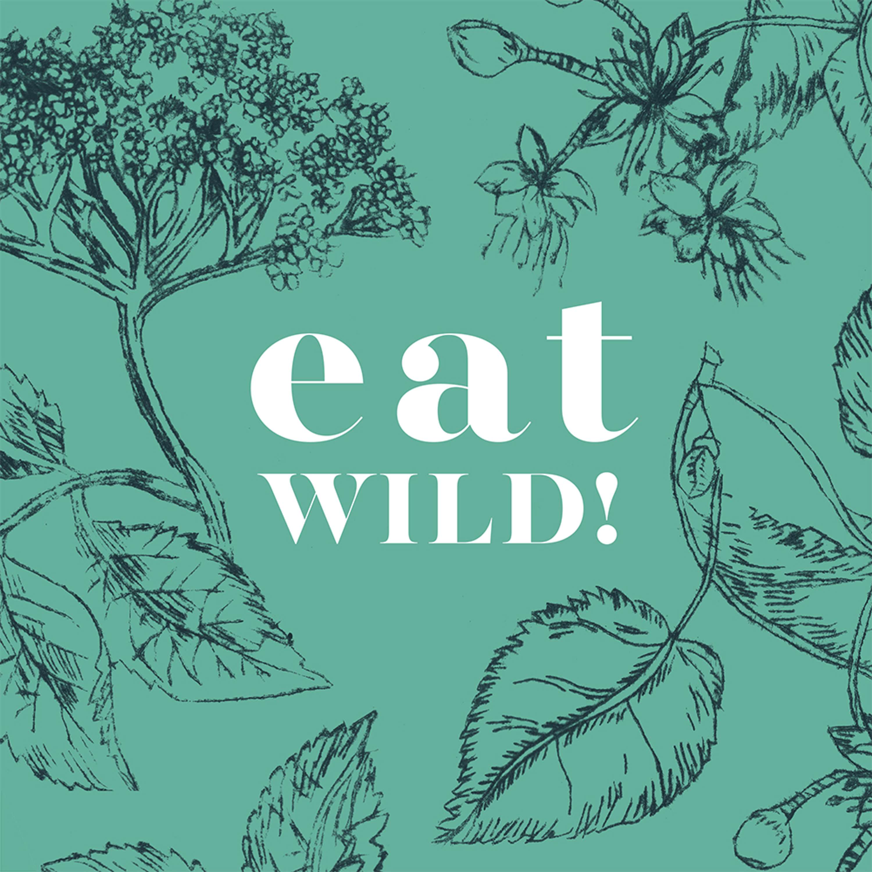Foraging zine by Amanda Rigby