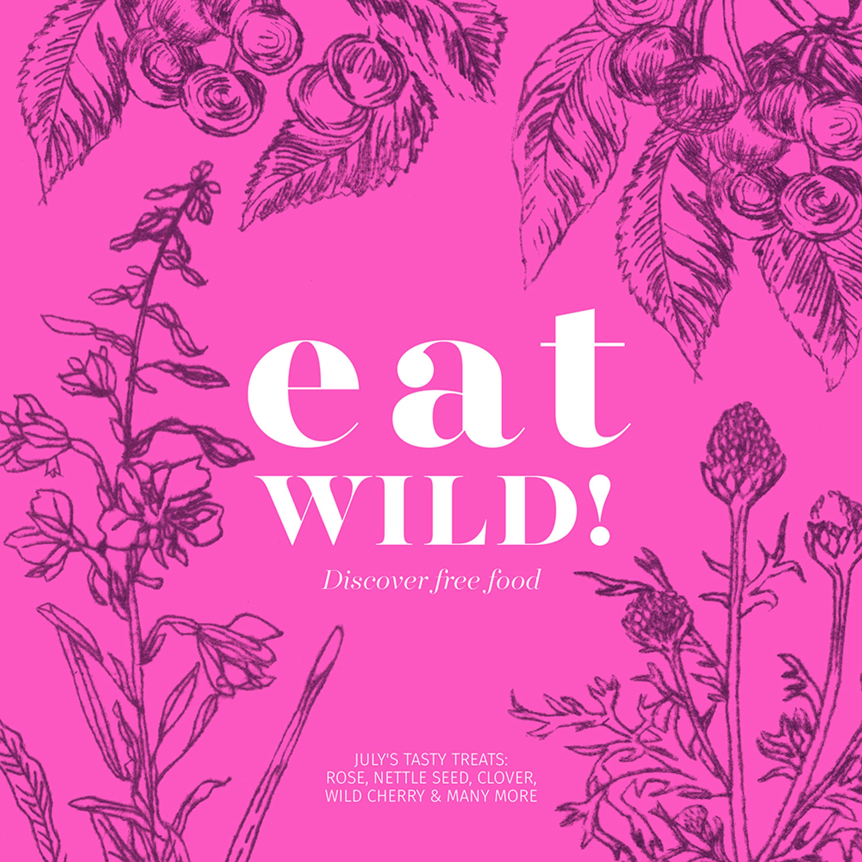 Foraging zine by Amanda Rigby