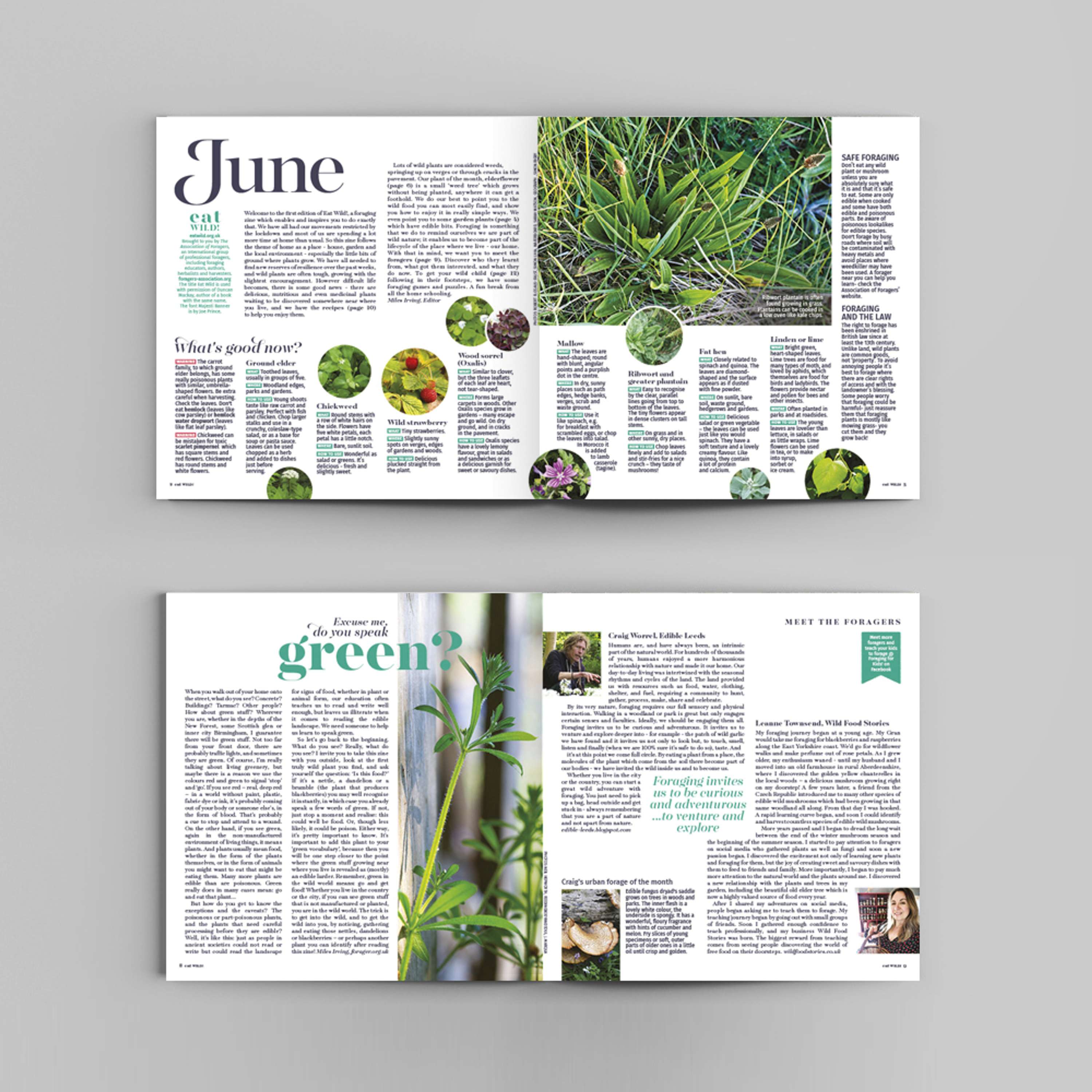 Foraging zine by Amanda Rigby