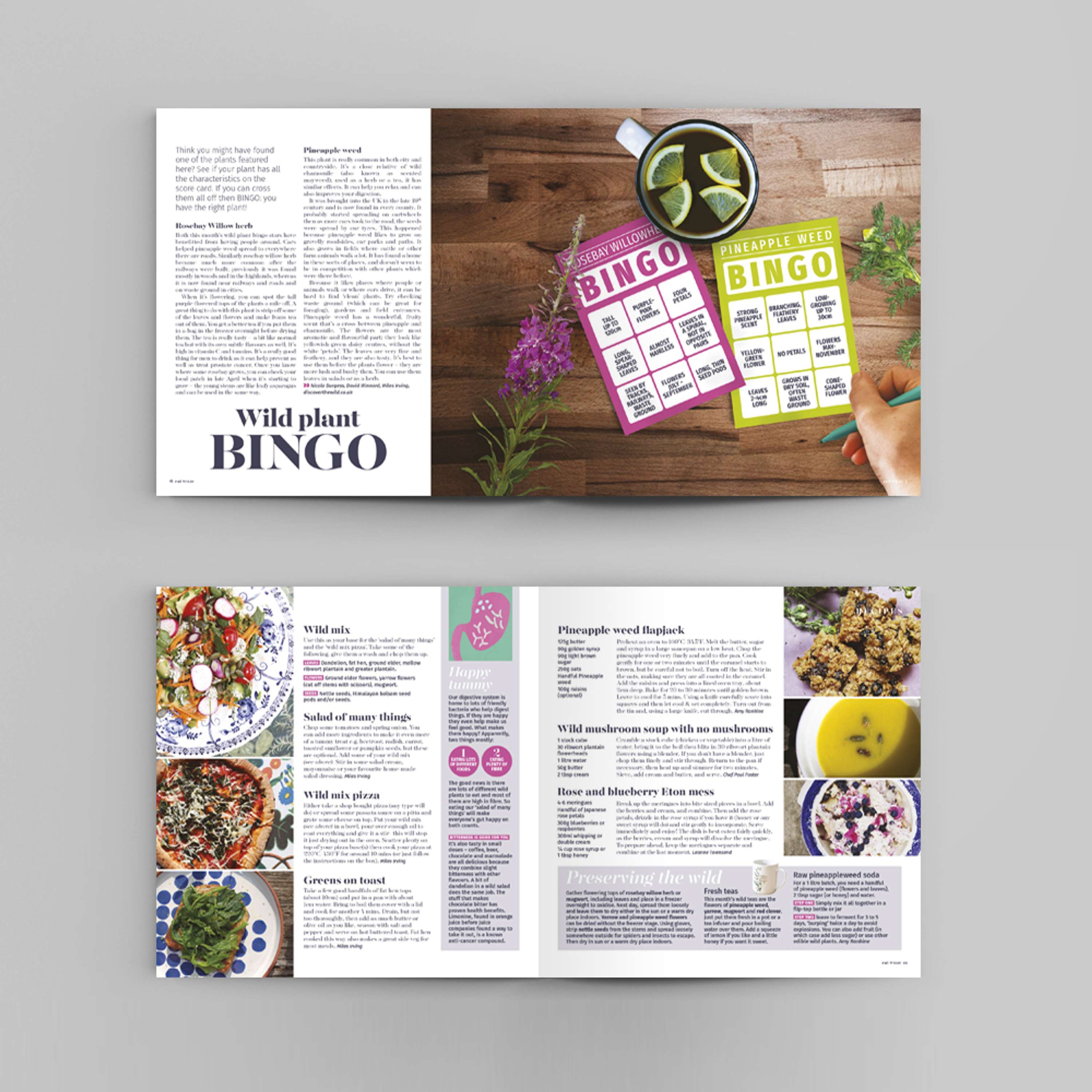 Foraging zine by Amanda Rigby