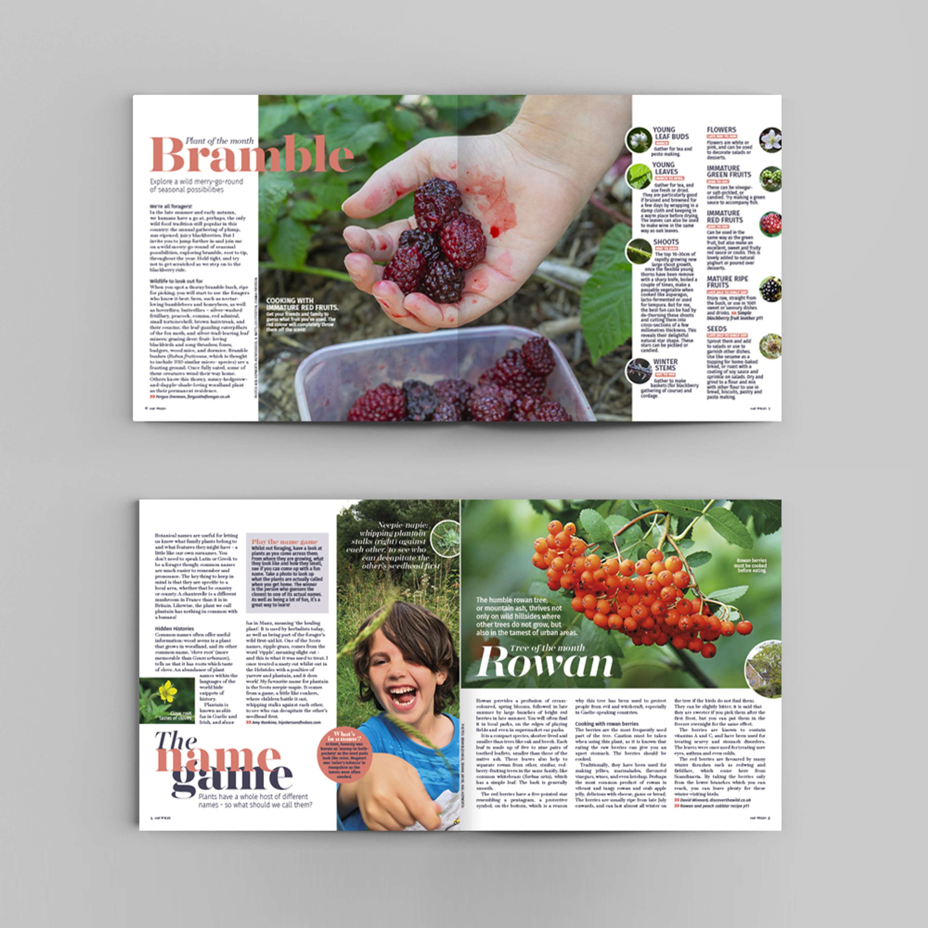 Foraging zine by Amanda Rigby