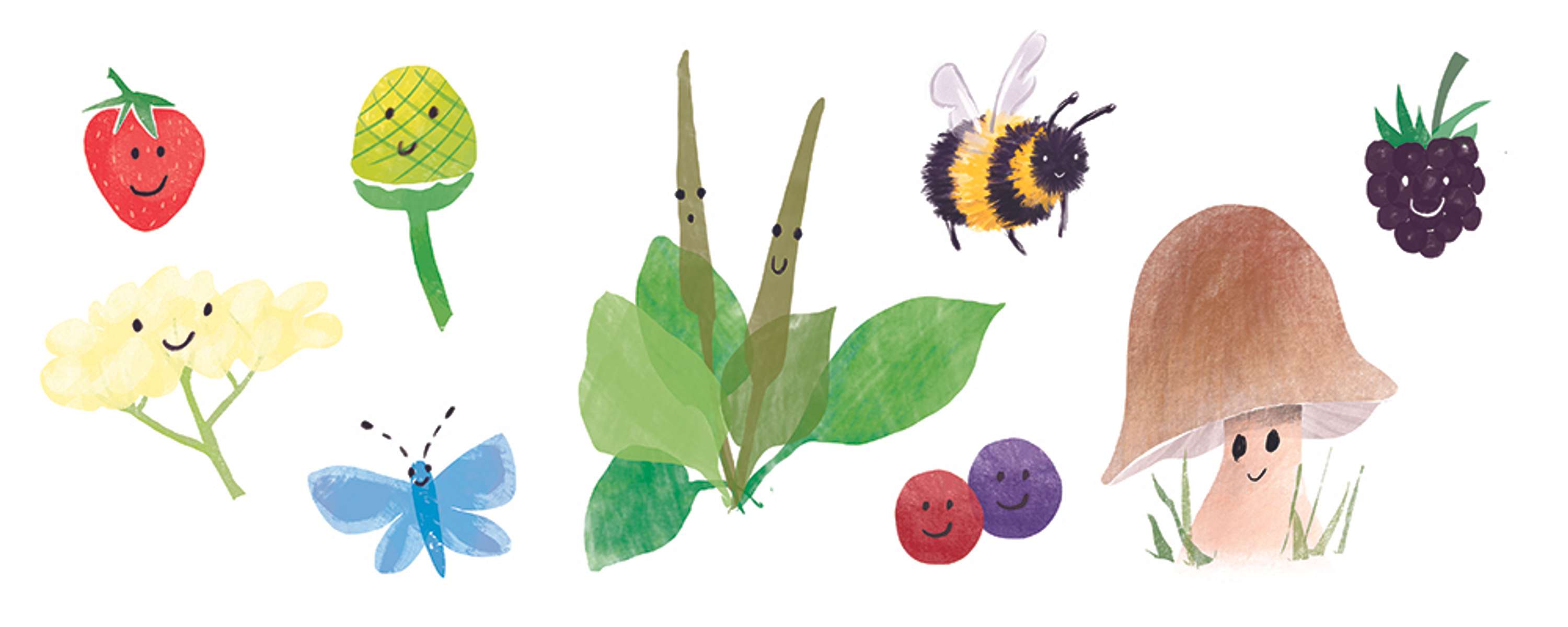 Foraging zine by Amanda Rigby