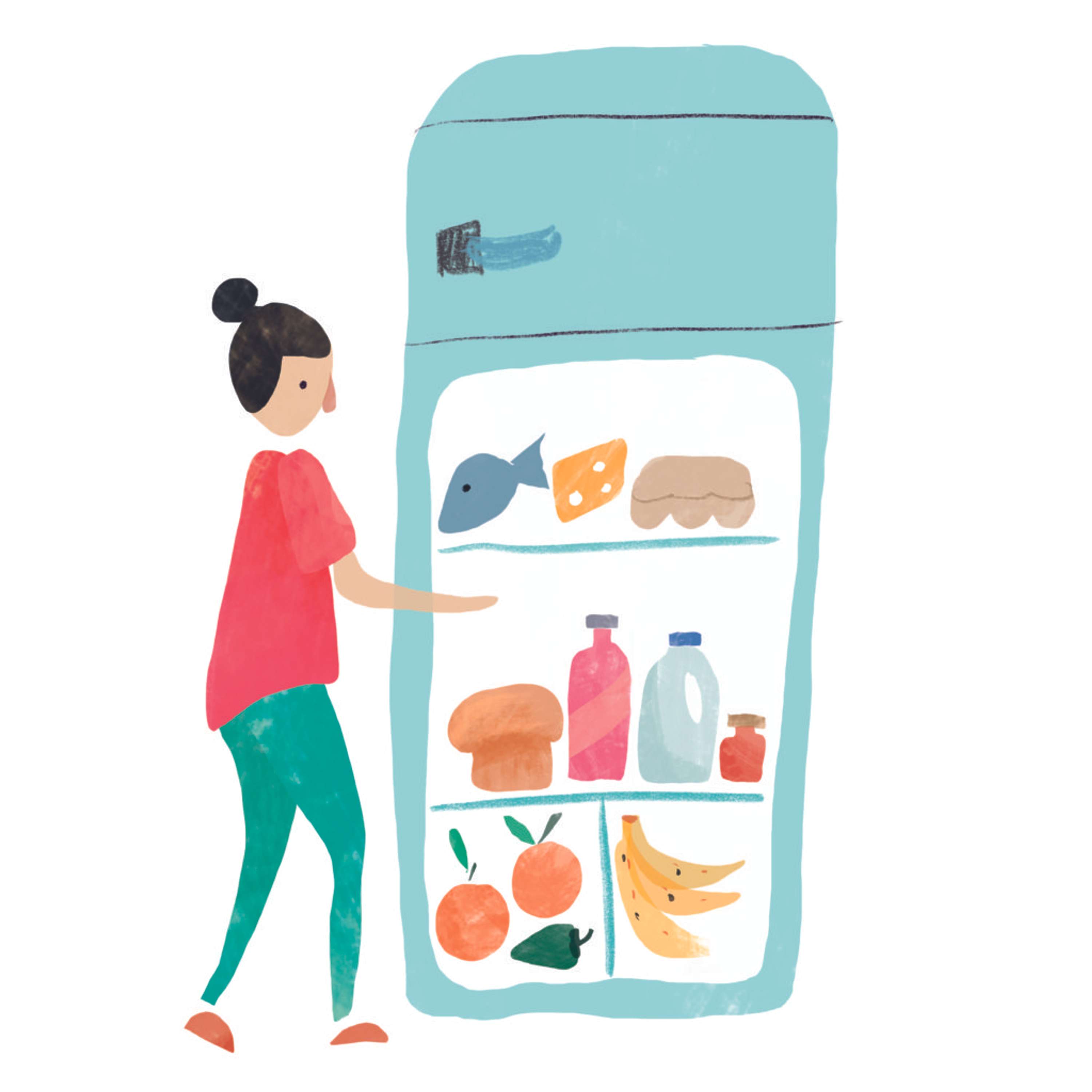 Leaflet with bespoke illustrations by Amanda Rigby