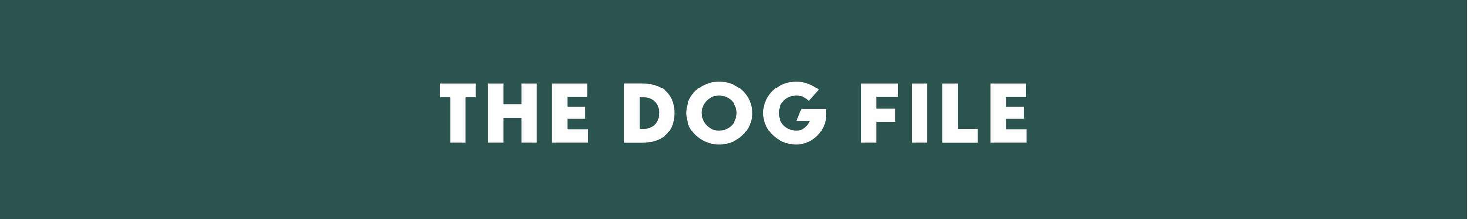 The Dog File by Yasmin Ball