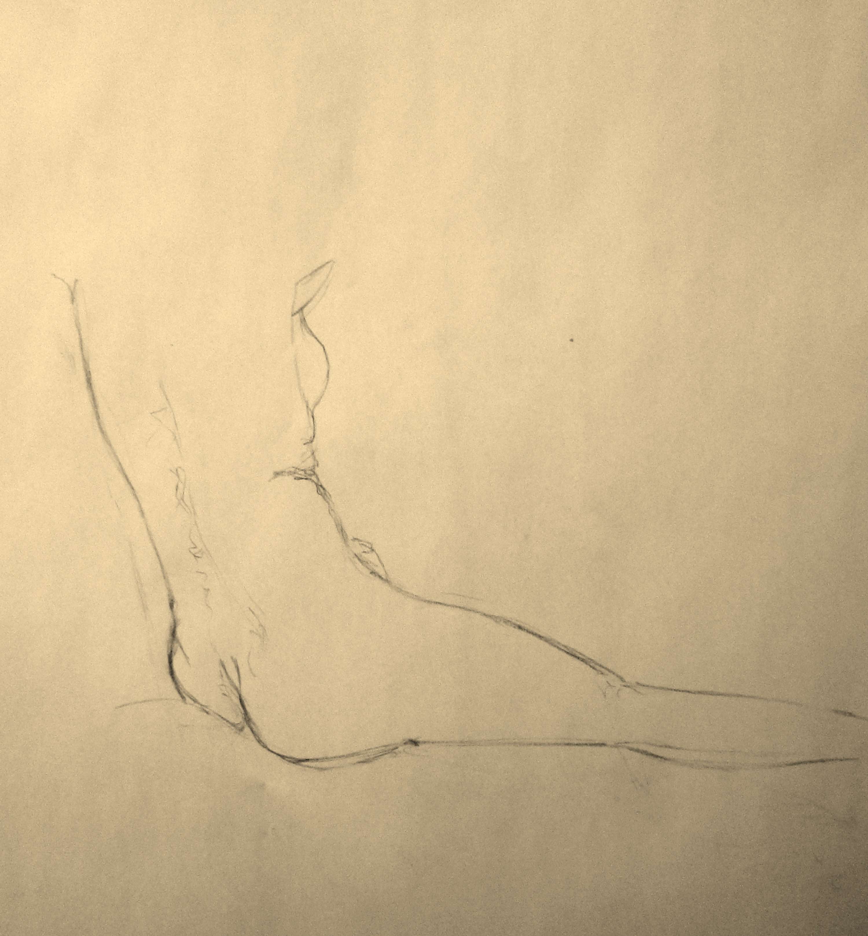 Life Drawing by Roshanak (Roshi) Khakban