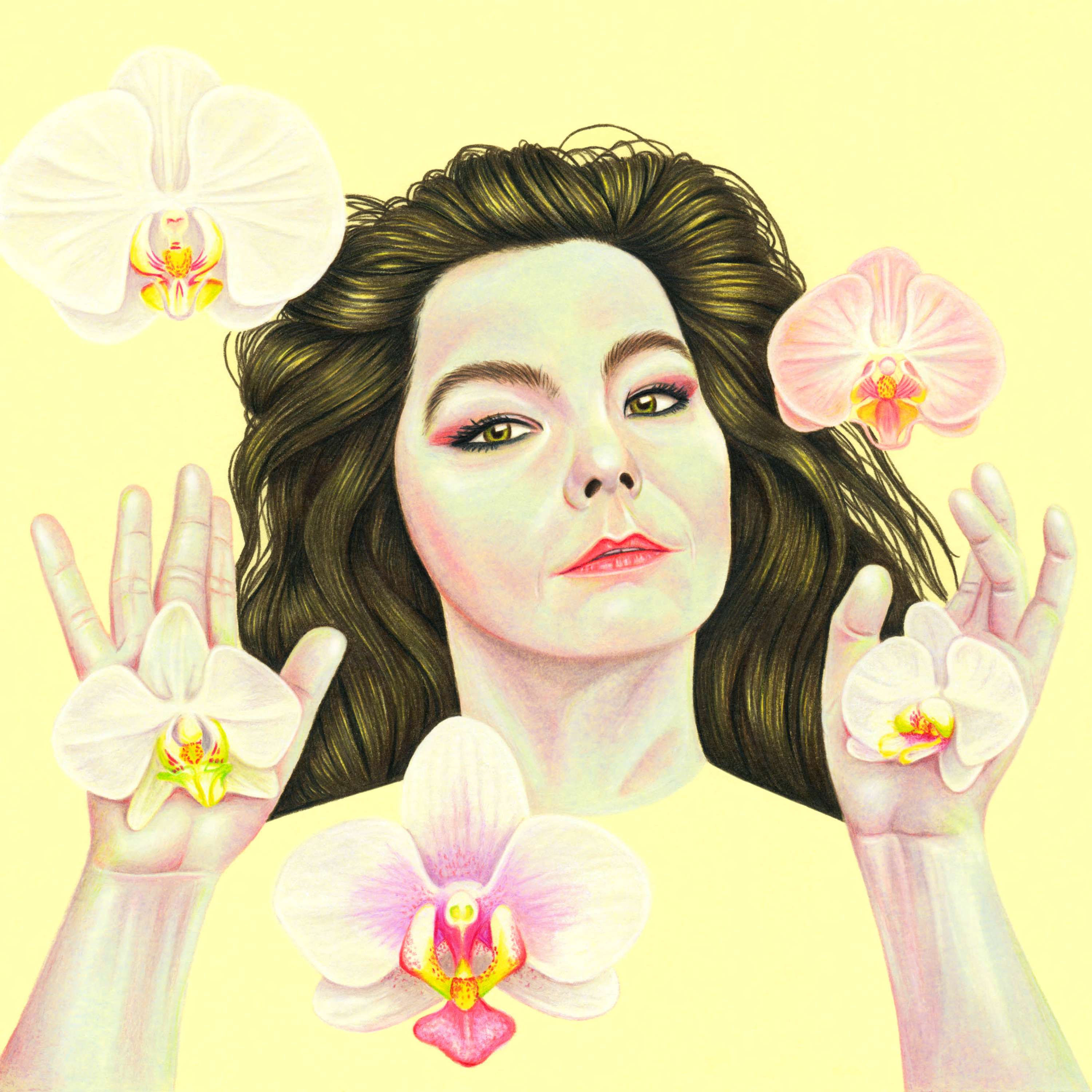 Björk by Mat Williams