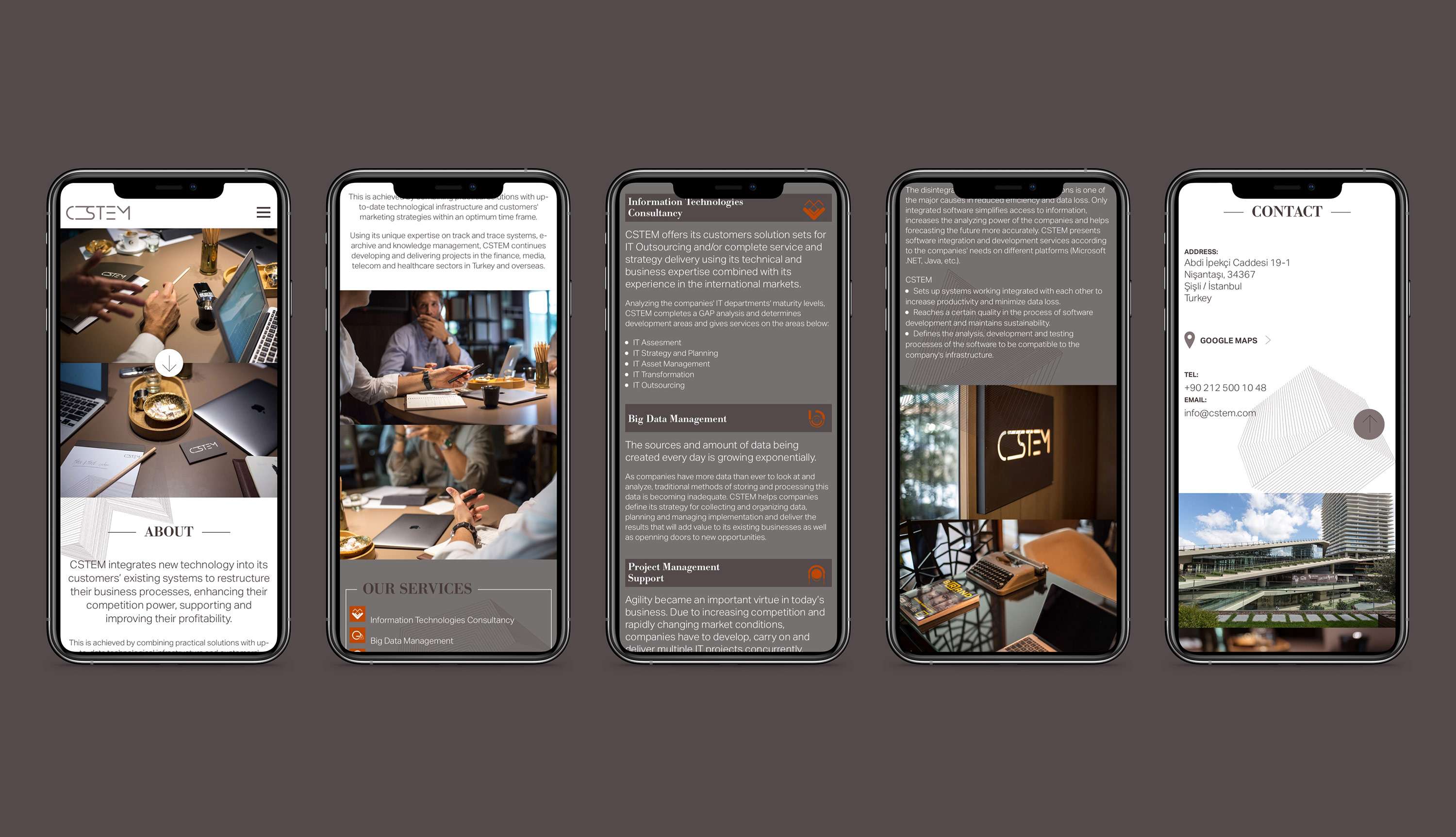 CSTEM Website by Ediz Pinar