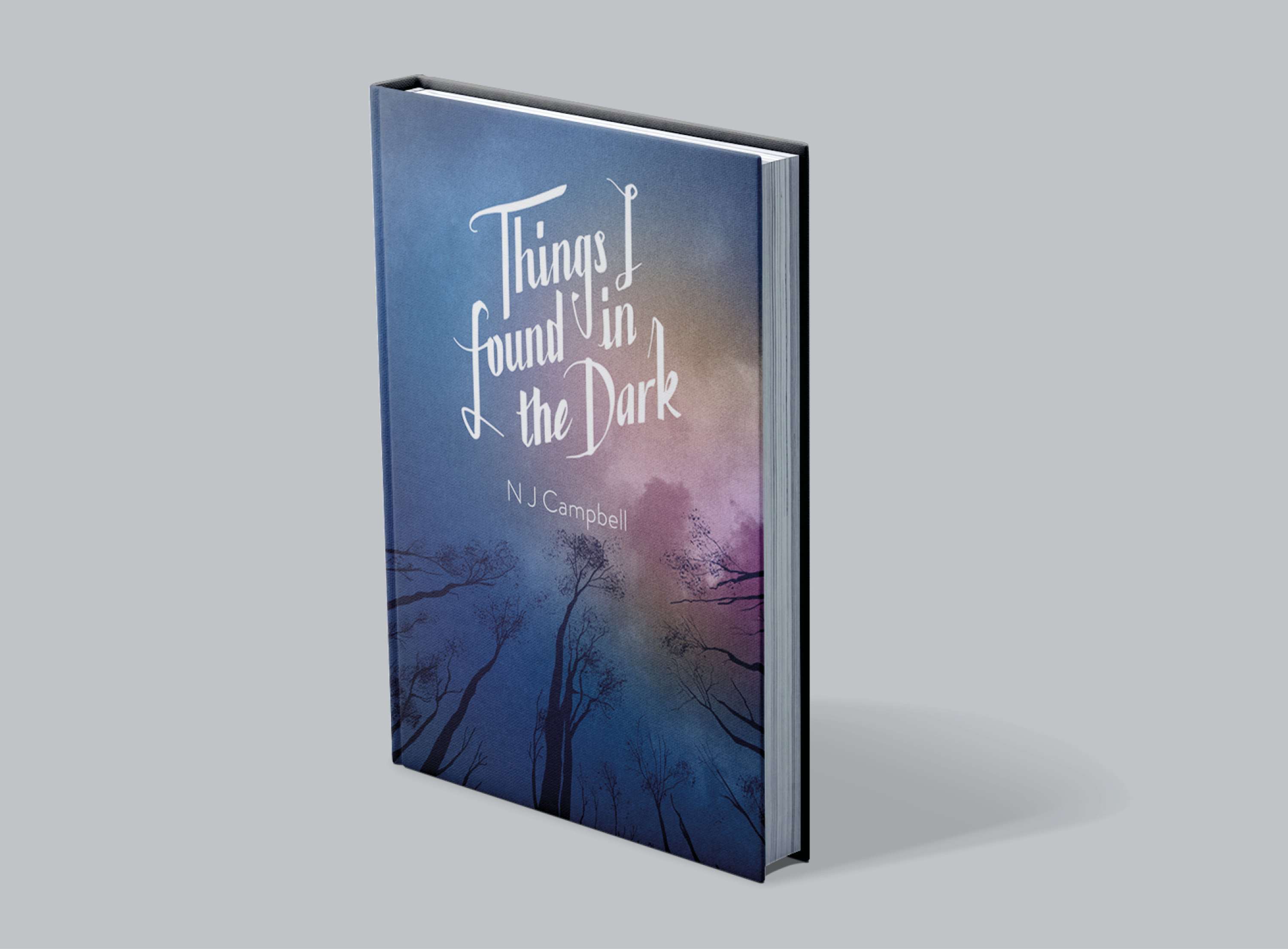Things I found in the Dark by Shaun Campbell