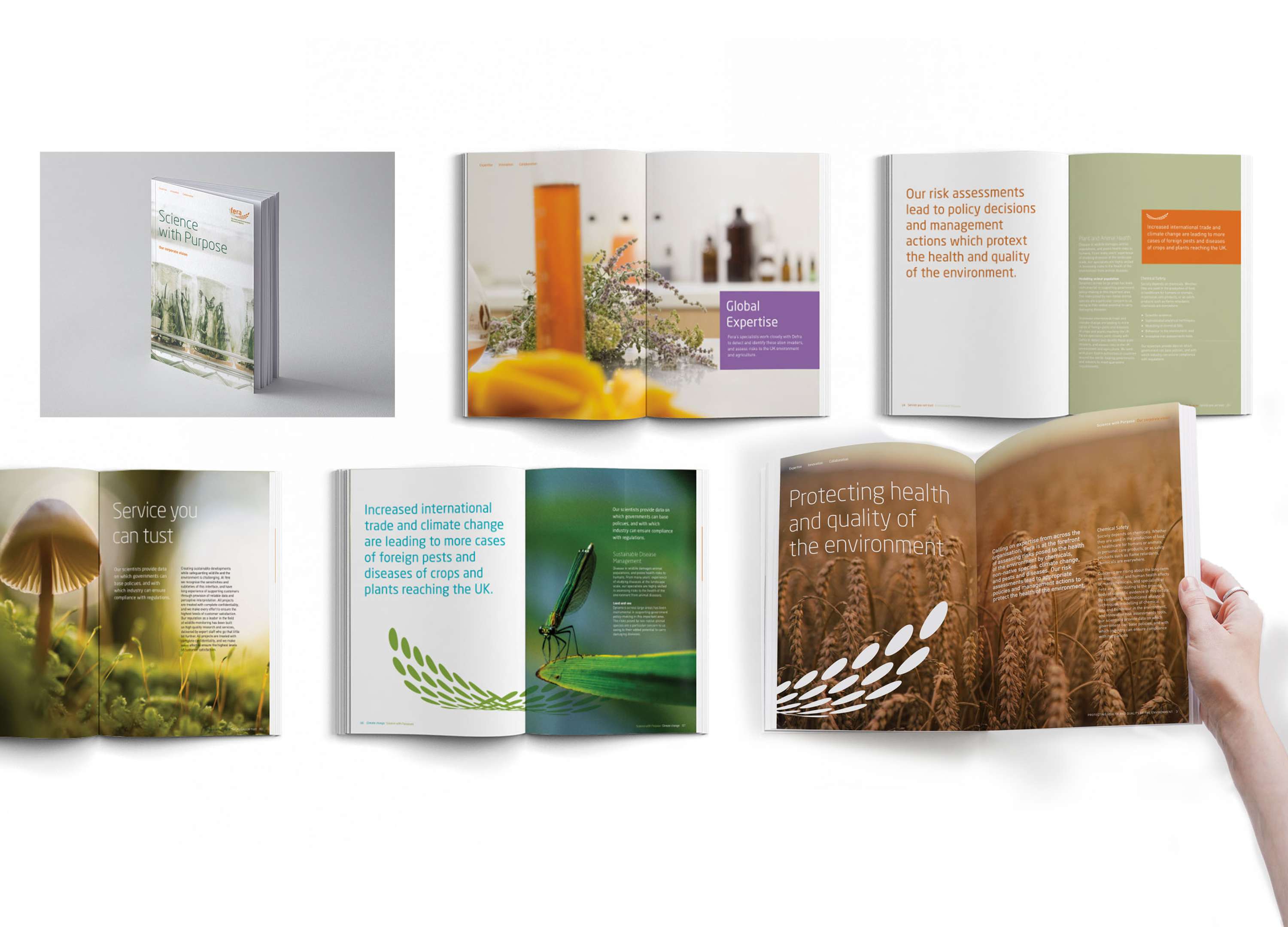 FERA: BRANDING A MERGER by Nicola Humphreys