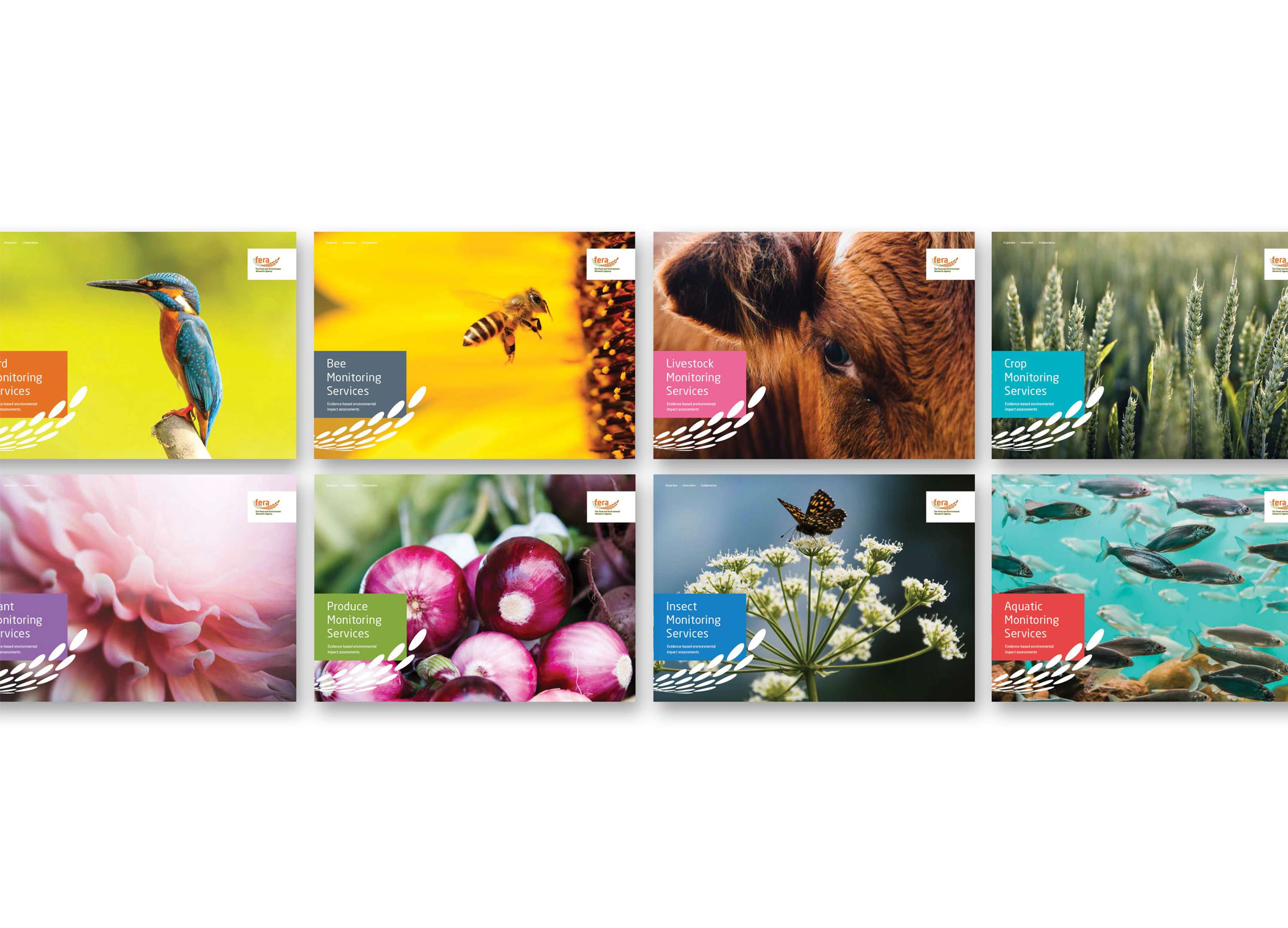 FERA: BRANDING A MERGER by Nicola Humphreys