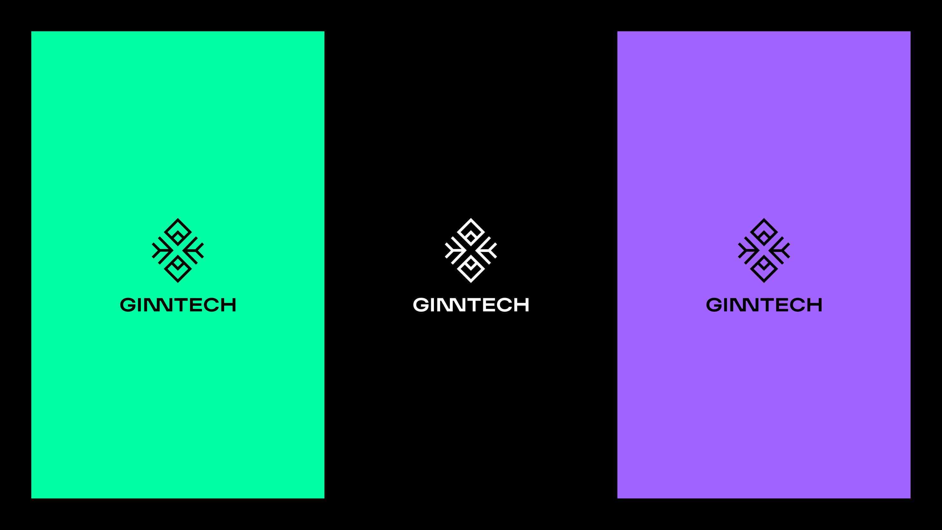 Ginntech - software house • Brand identity by Blekk Studio