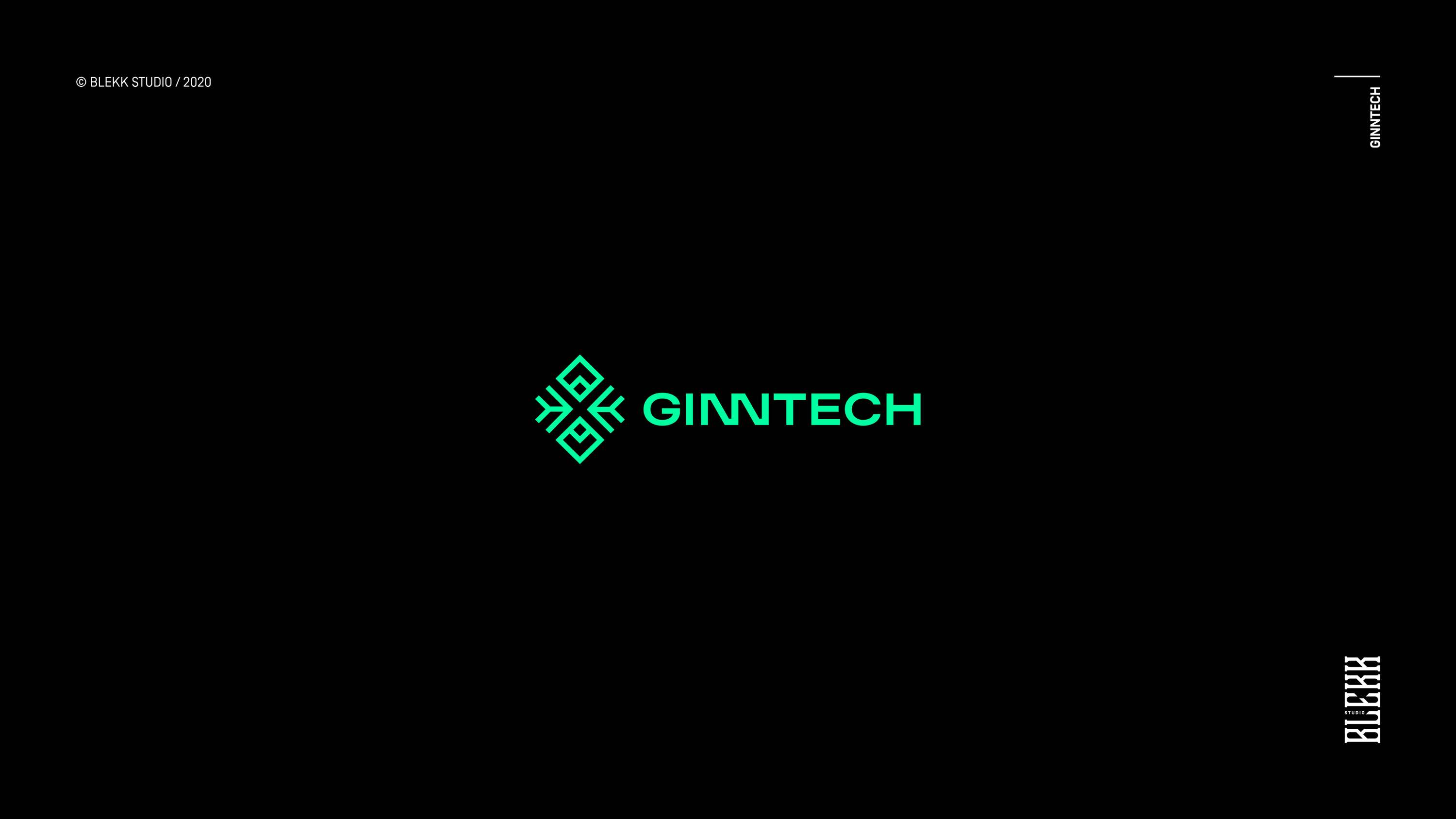 Ginntech - software house • Brand identity by Blekk Studio