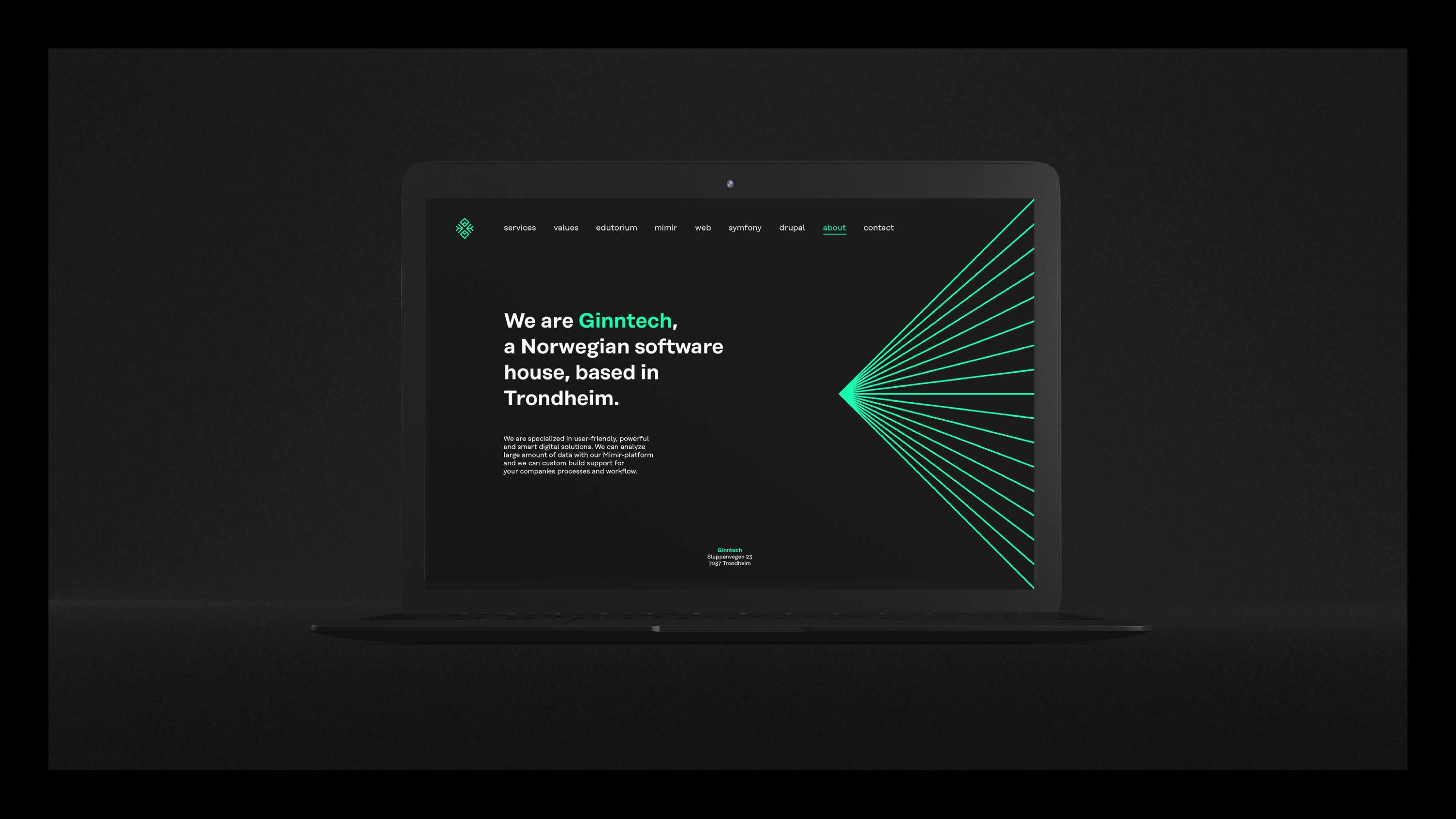 Ginntech - software house • Brand identity by Blekk Studio