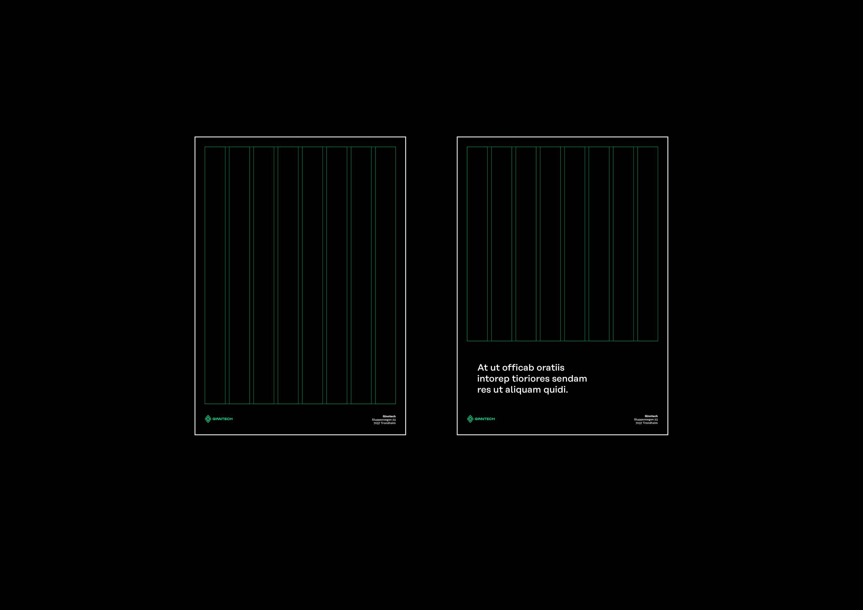 Ginntech - software house • Brand identity by Blekk Studio