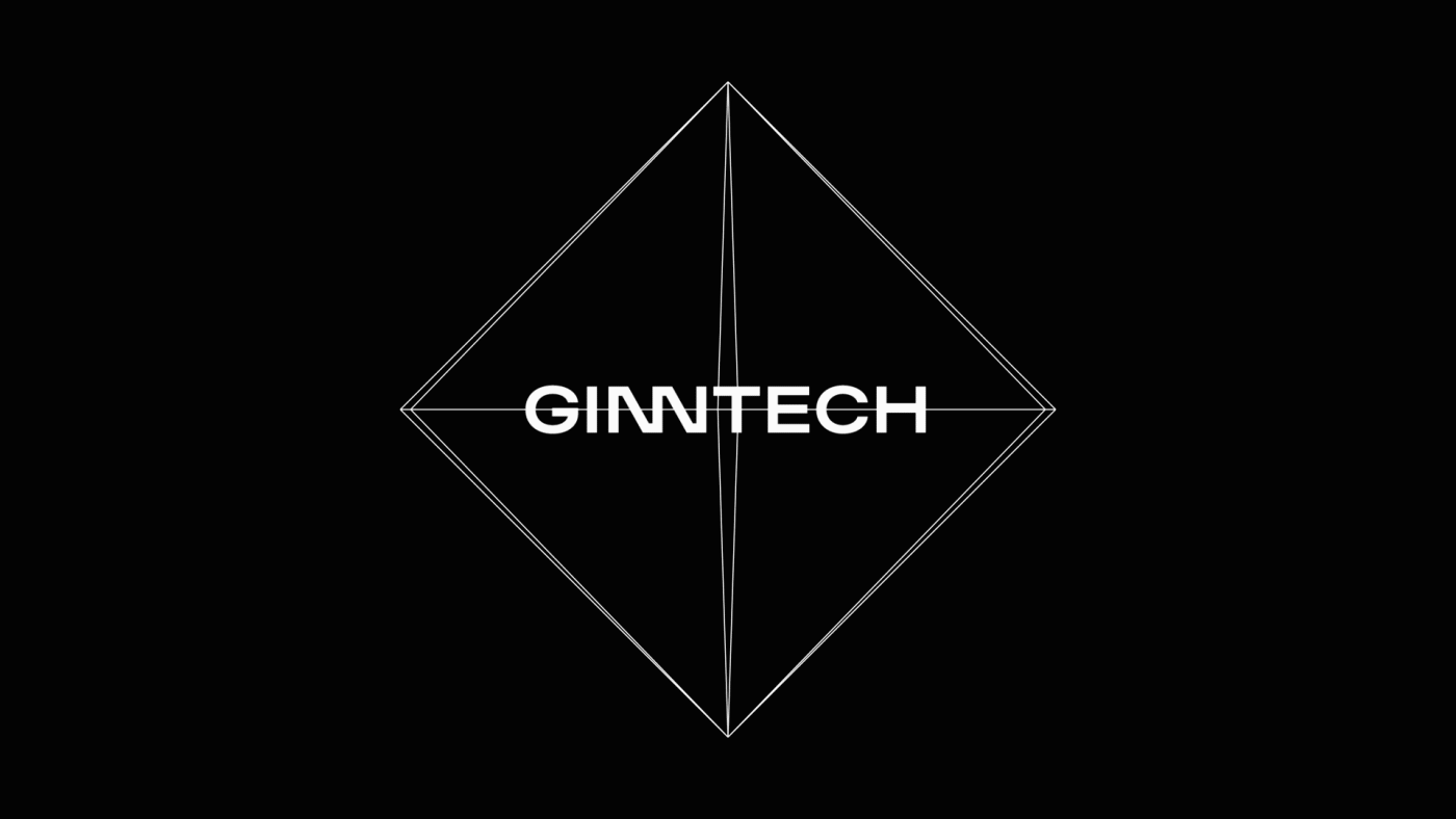 Ginntech - software house • Brand identity by Blekk Studio