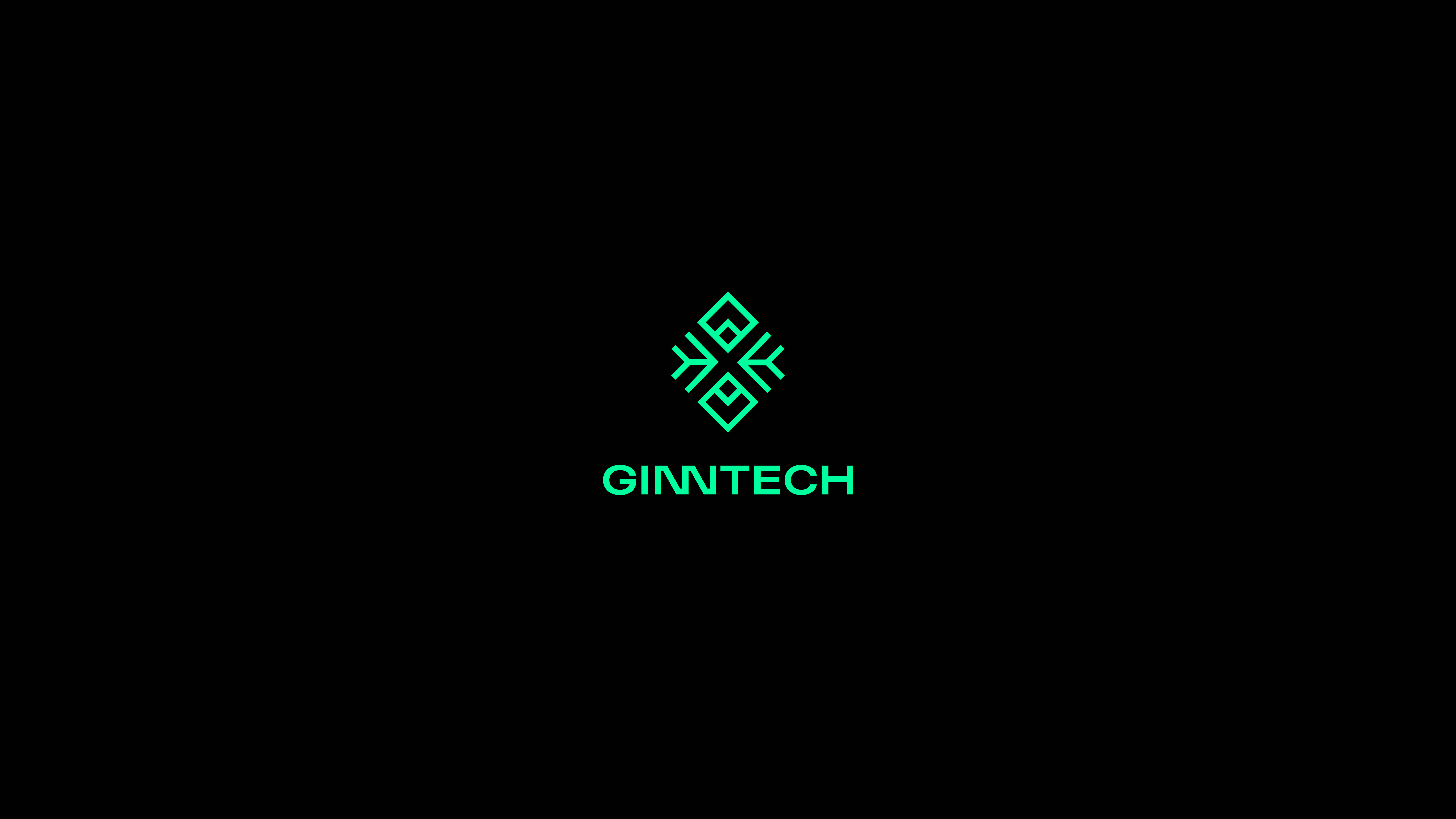 Ginntech - software house • Brand identity by Blekk Studio