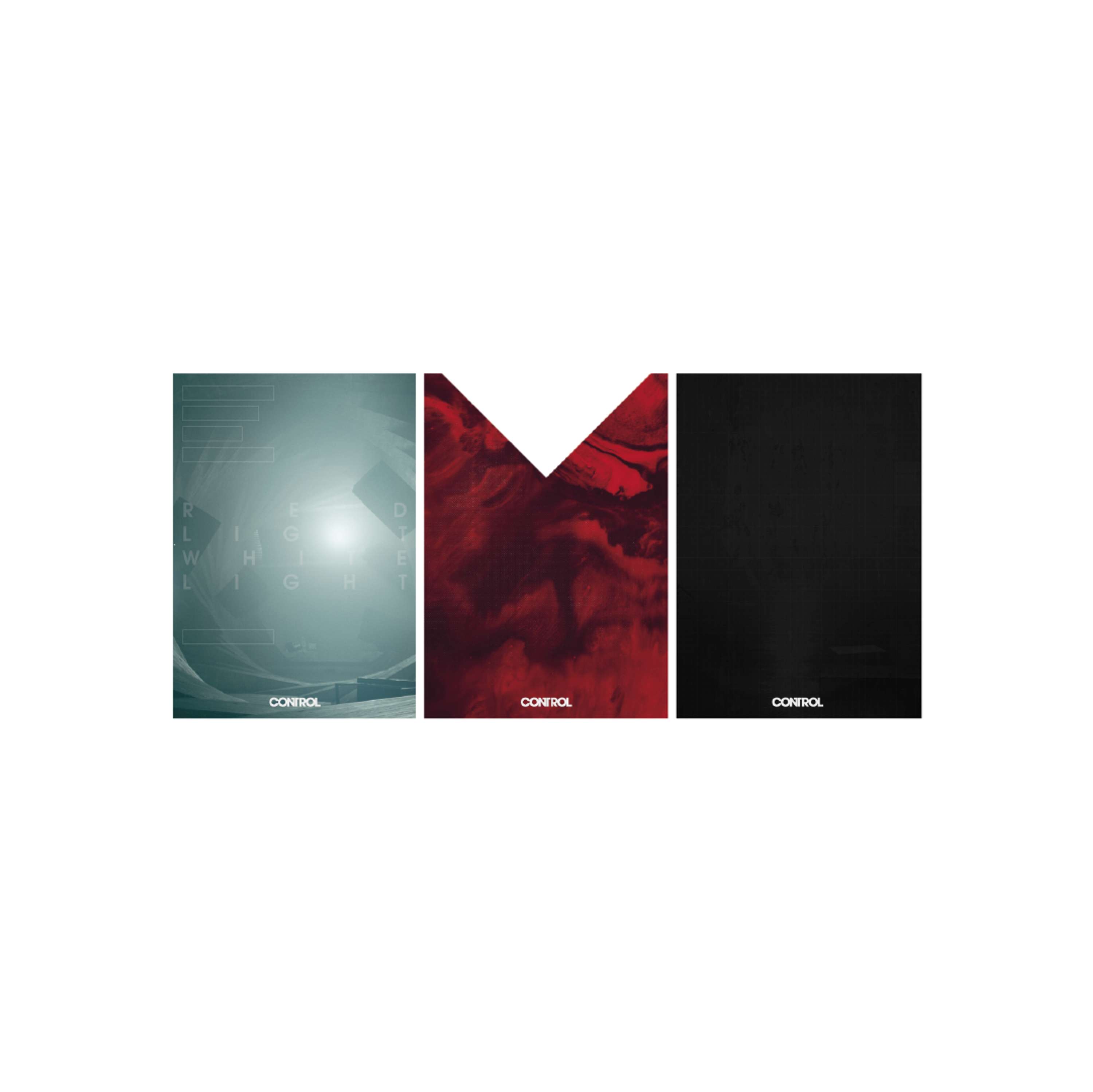 Triptych "CONTROL" by Grigory Samoylov