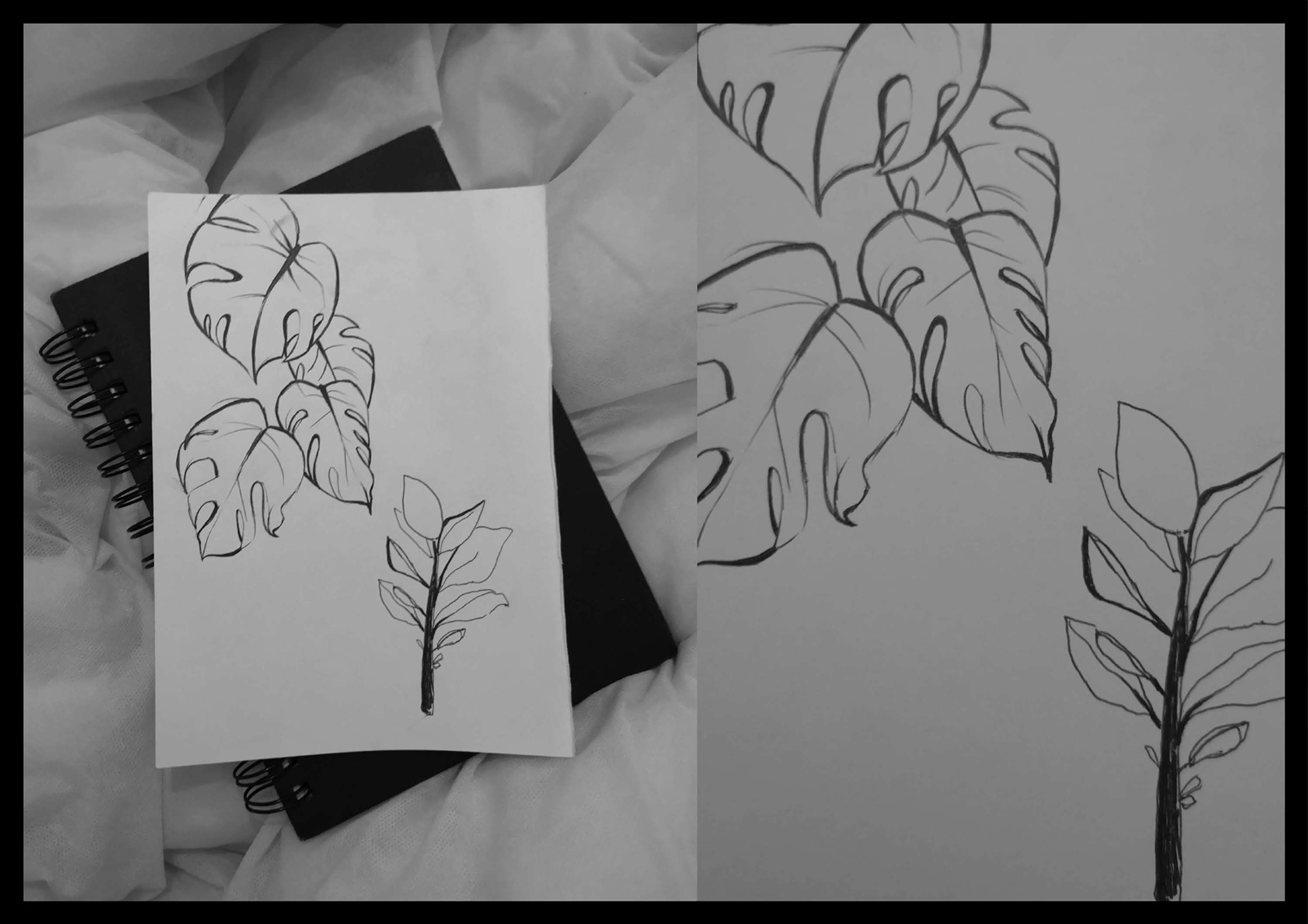 EXPERIMENTS by Chiara Romualdi
