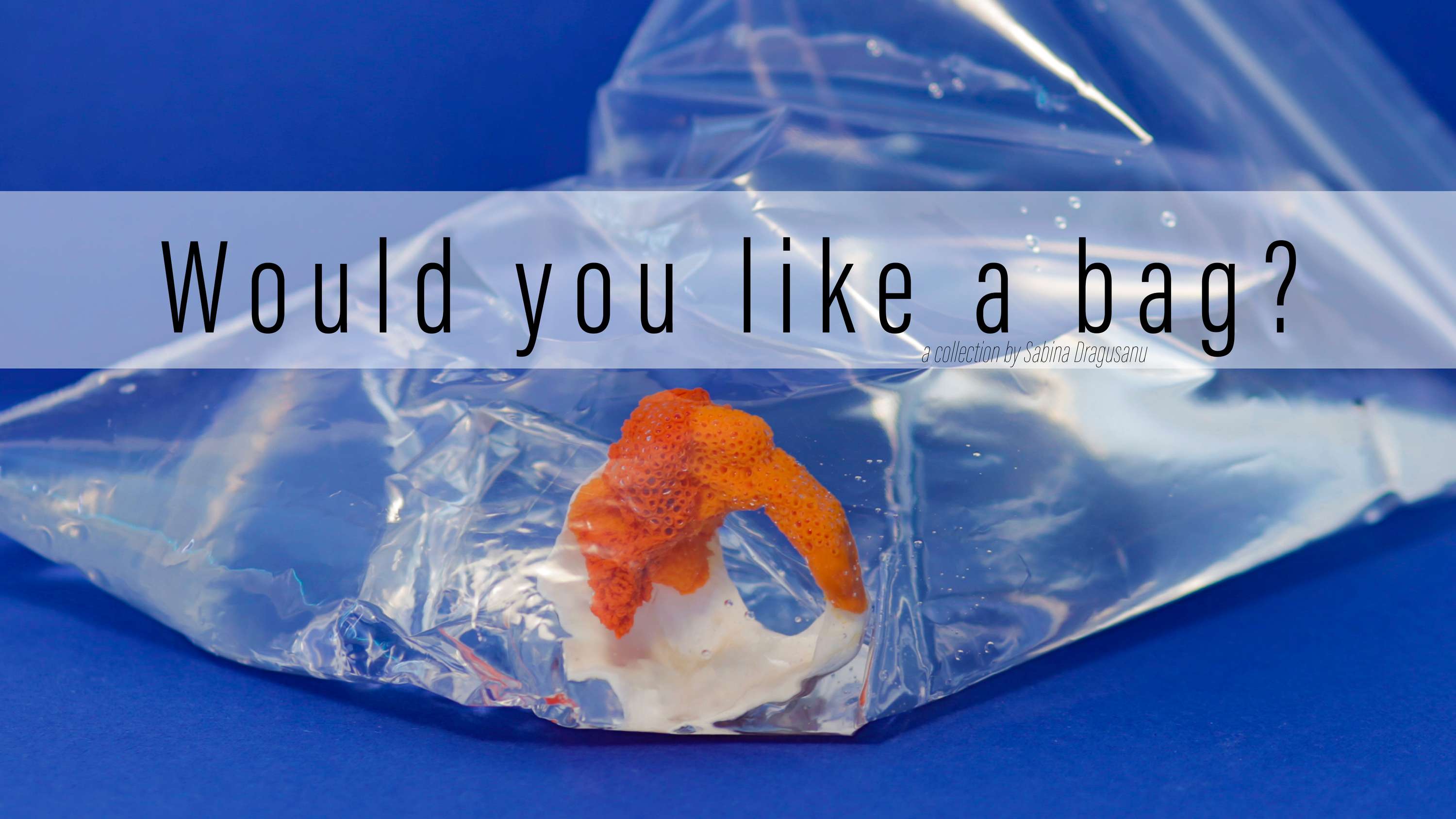 Would you like a bag? by Sabina Dragusanu