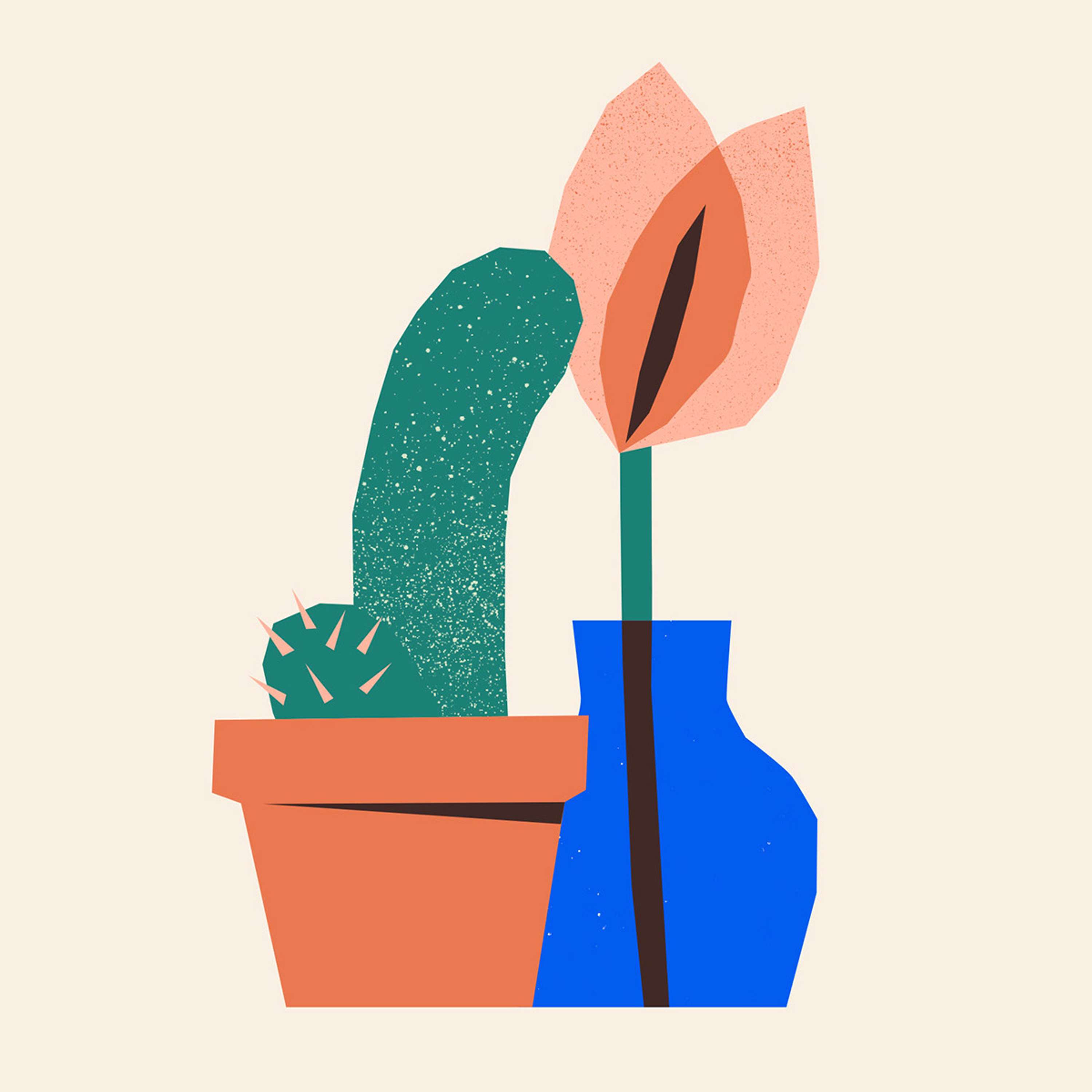 MYLO by RAGGED EDGE