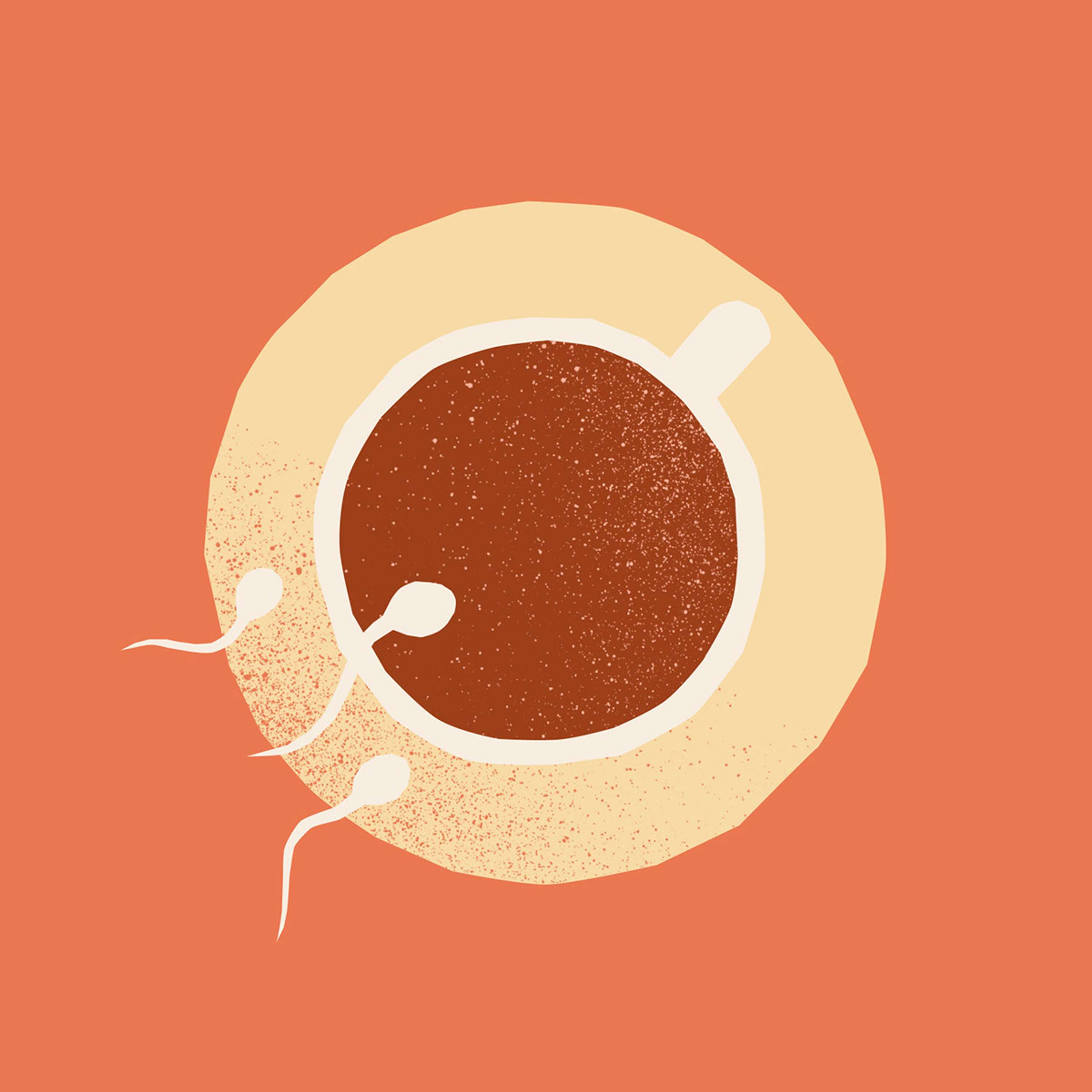 MYLO by RAGGED EDGE