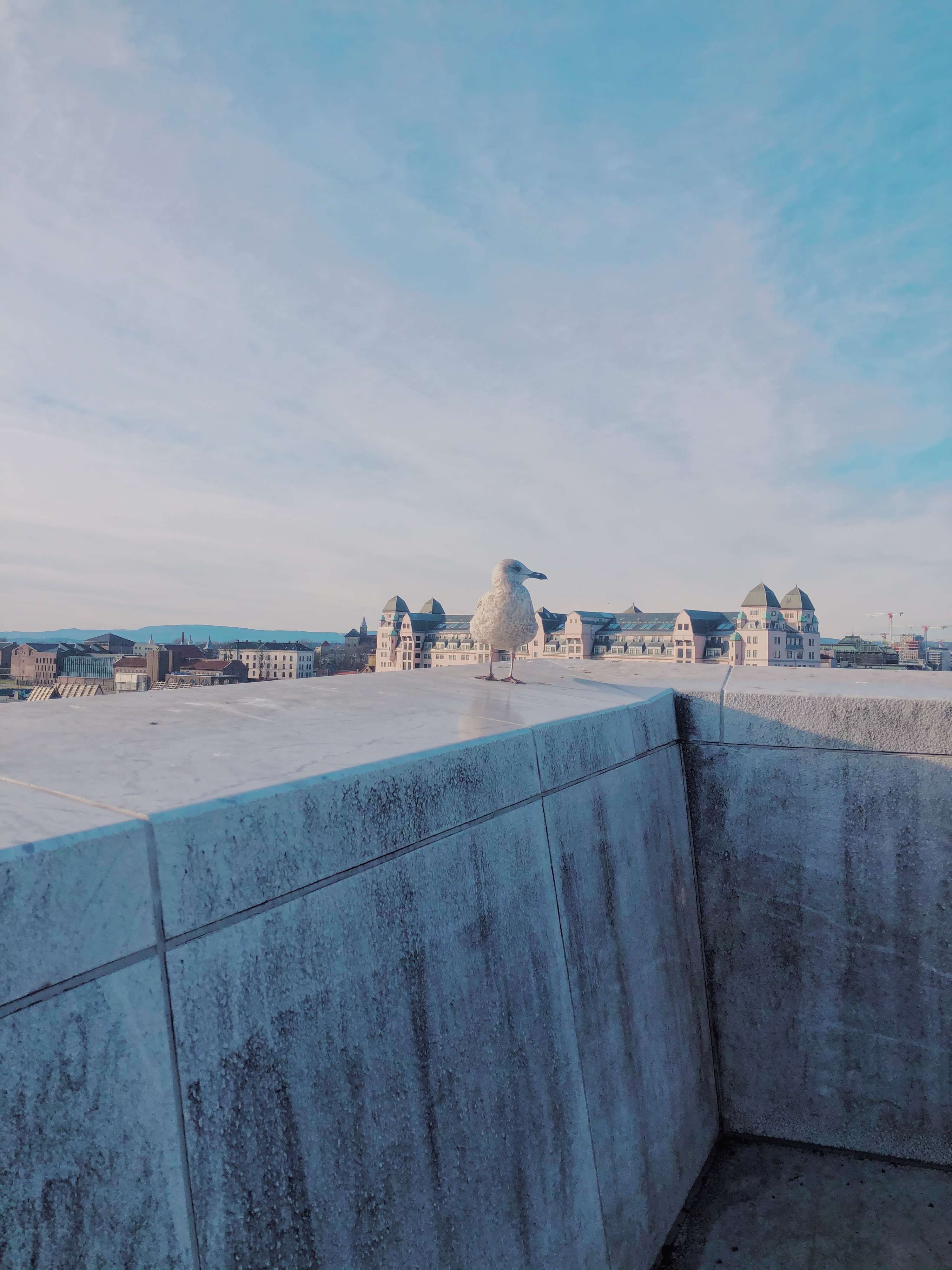 Oslo by Tochukwu Obi