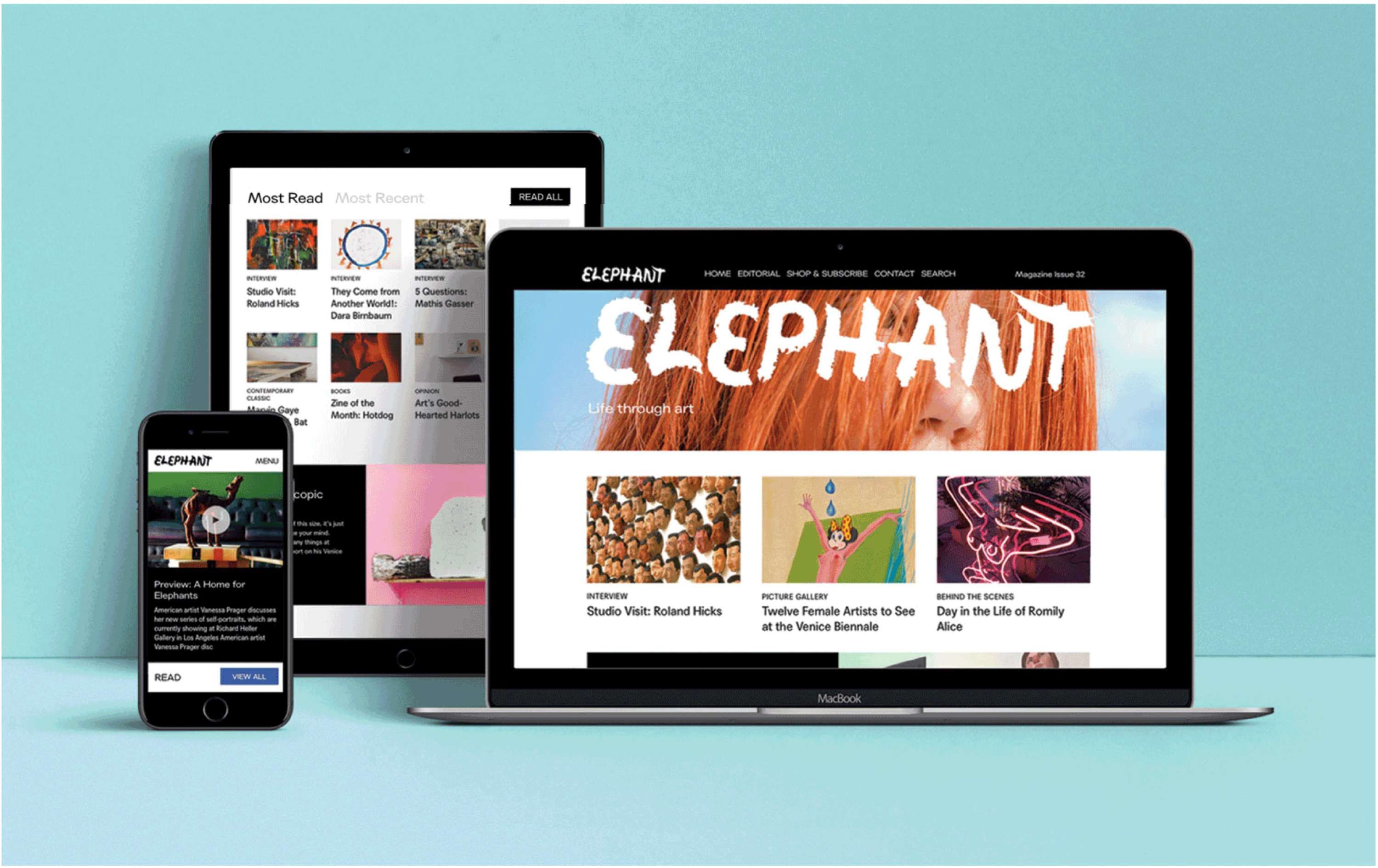 UI for Elephant Art by Miranda Isaac