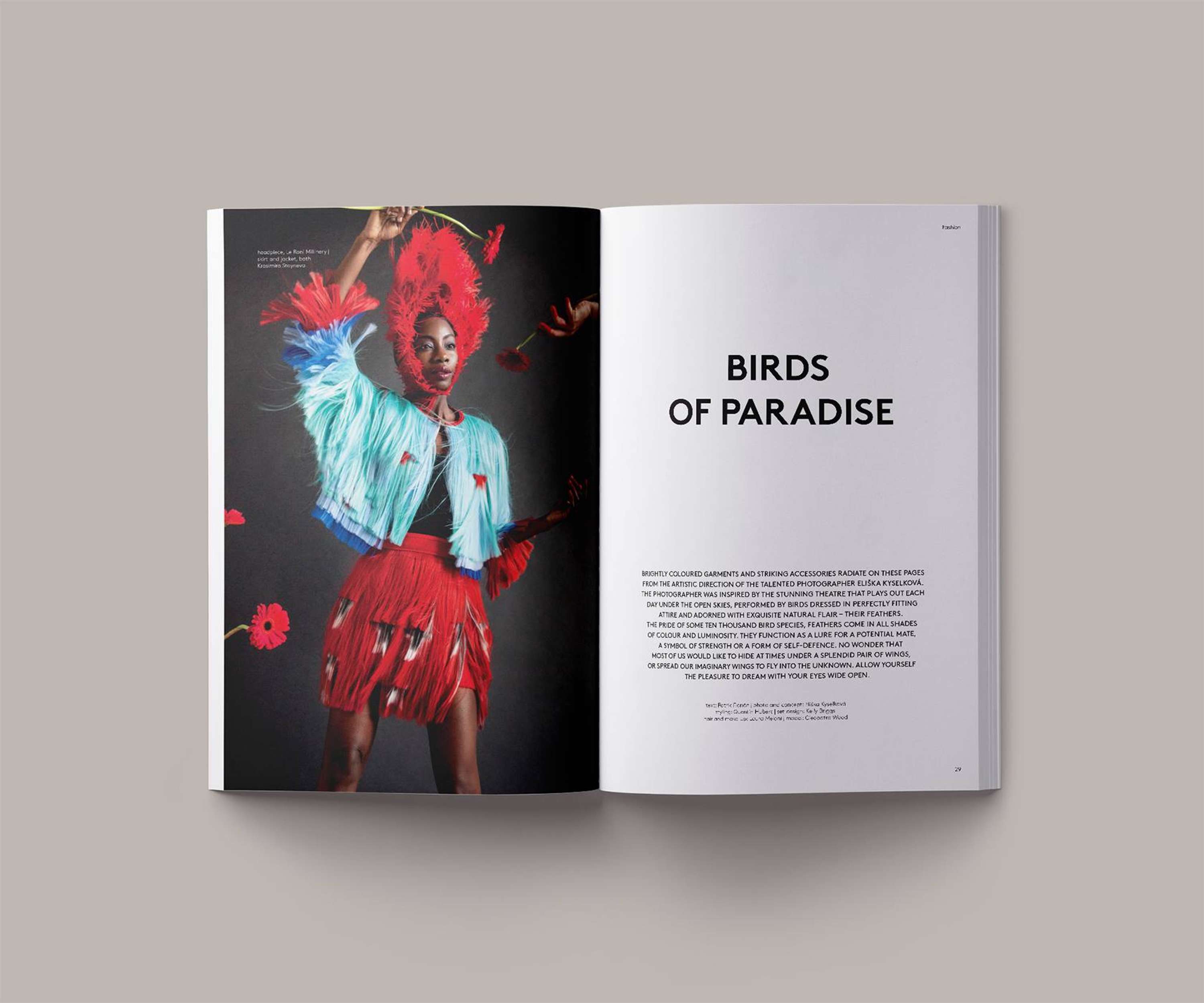 Birds of Paradise Set Design by Kelly Briggs
