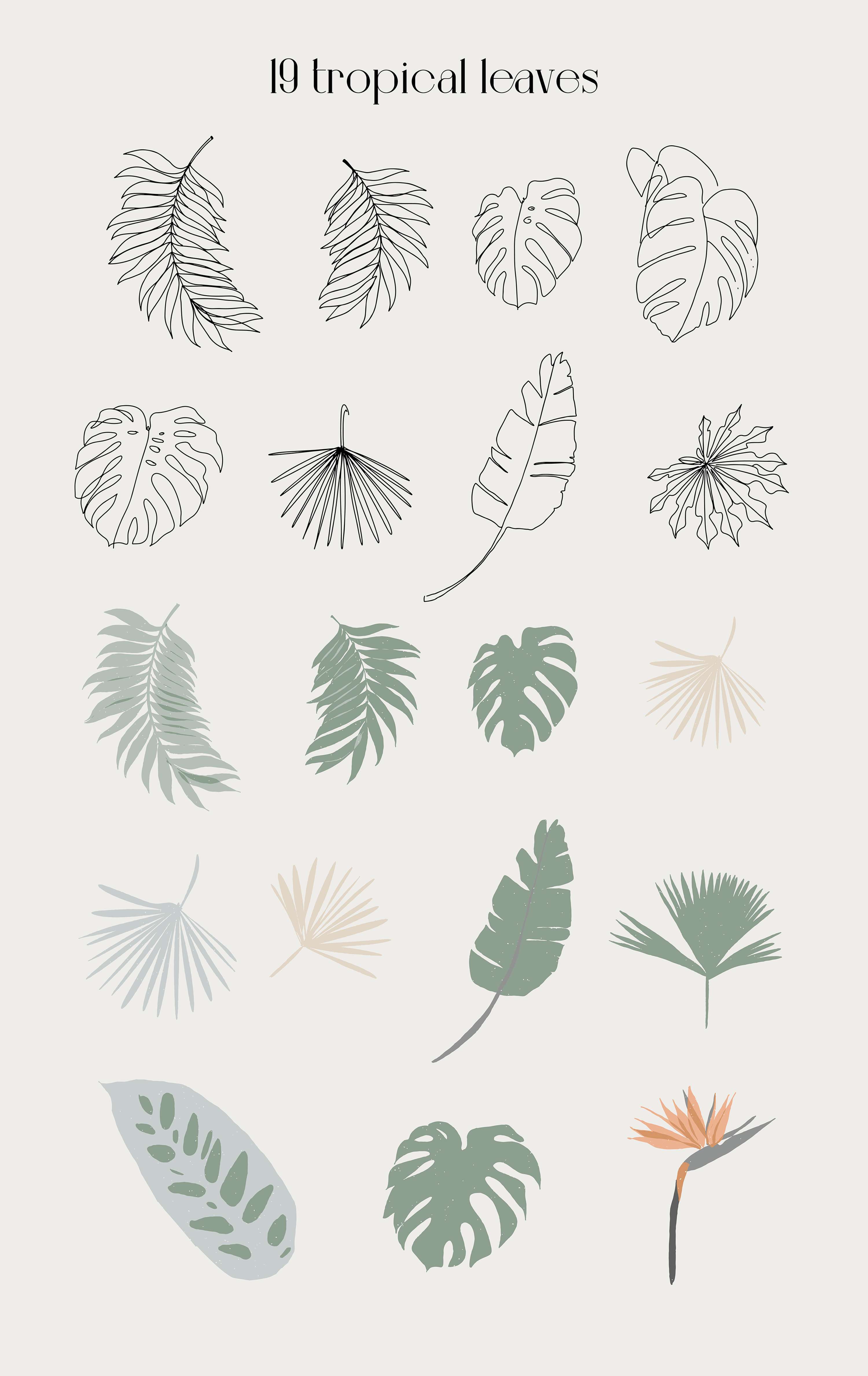 Spa collection in line art style. by Valeriia Riabko