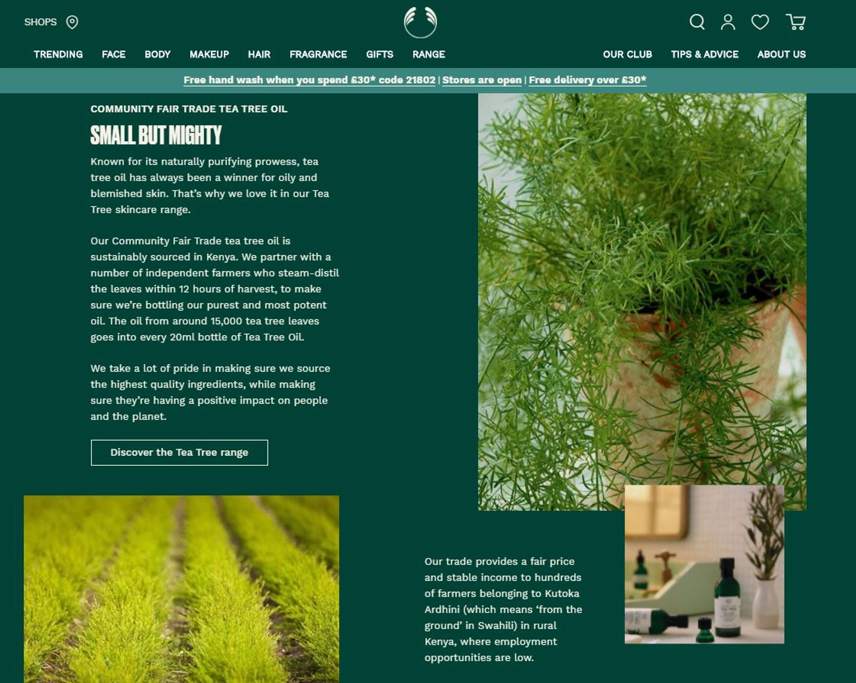 TheBodyShop.com - Digital Content Production by Mayda Bakri