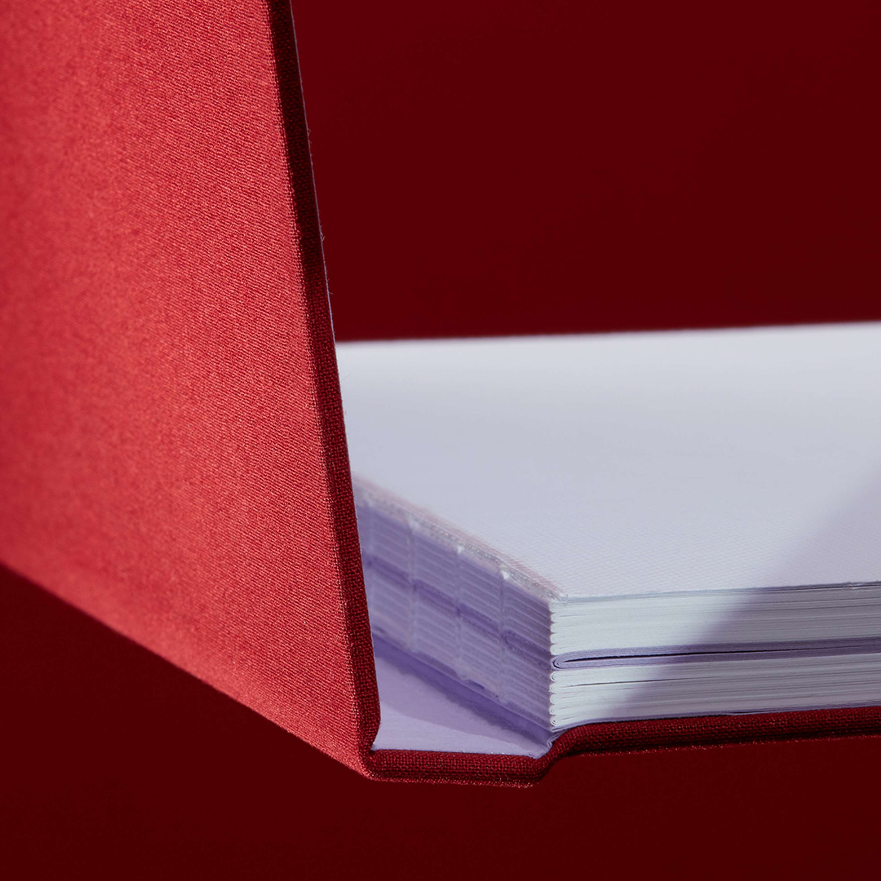 The MOO Notebook: Up Close and Personal by MOO