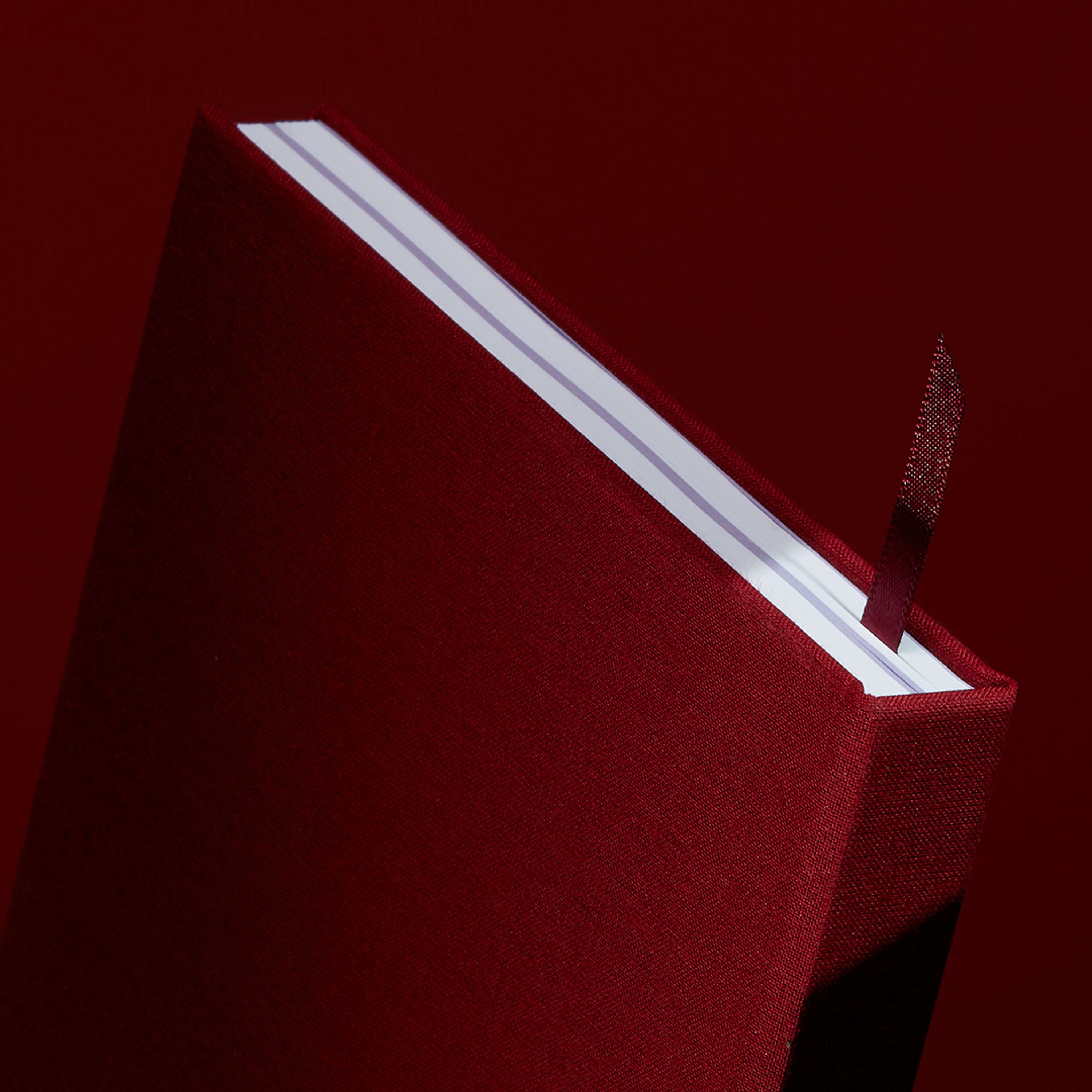 The MOO Notebook: Up Close and Personal by MOO