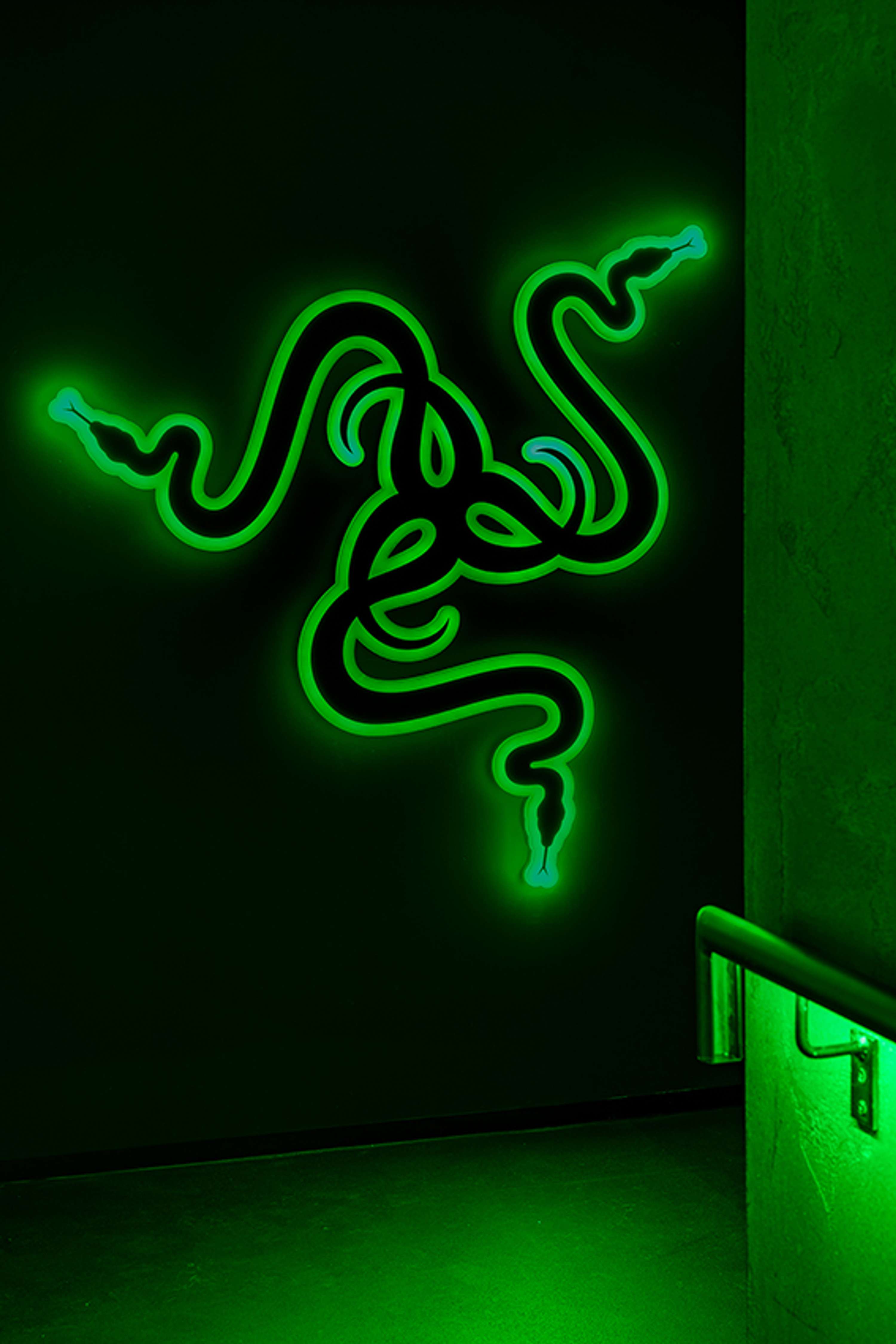 Razer Flagship by Ioana Iliesiu