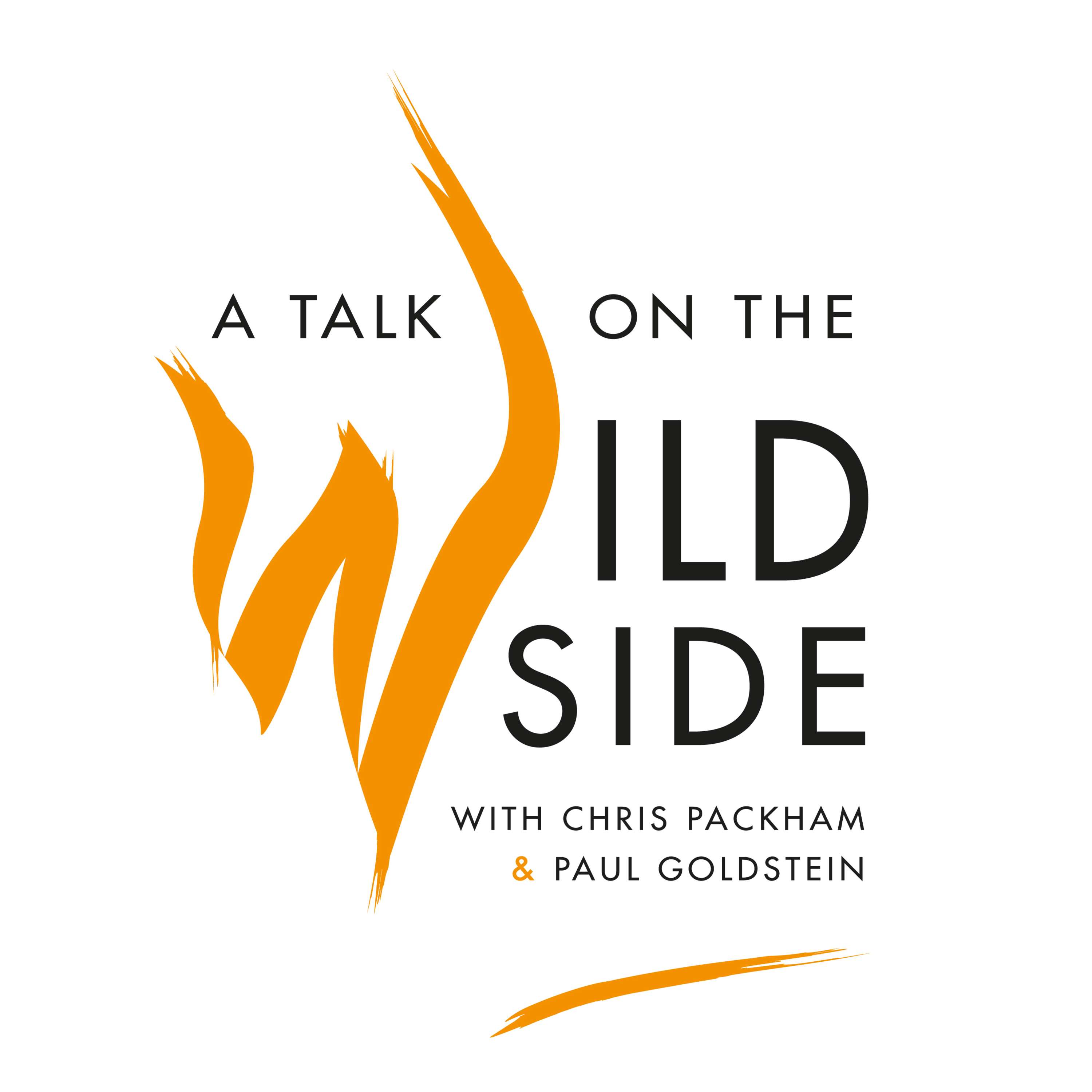 A Talk on the Wild Side by Aneesa Dalwai