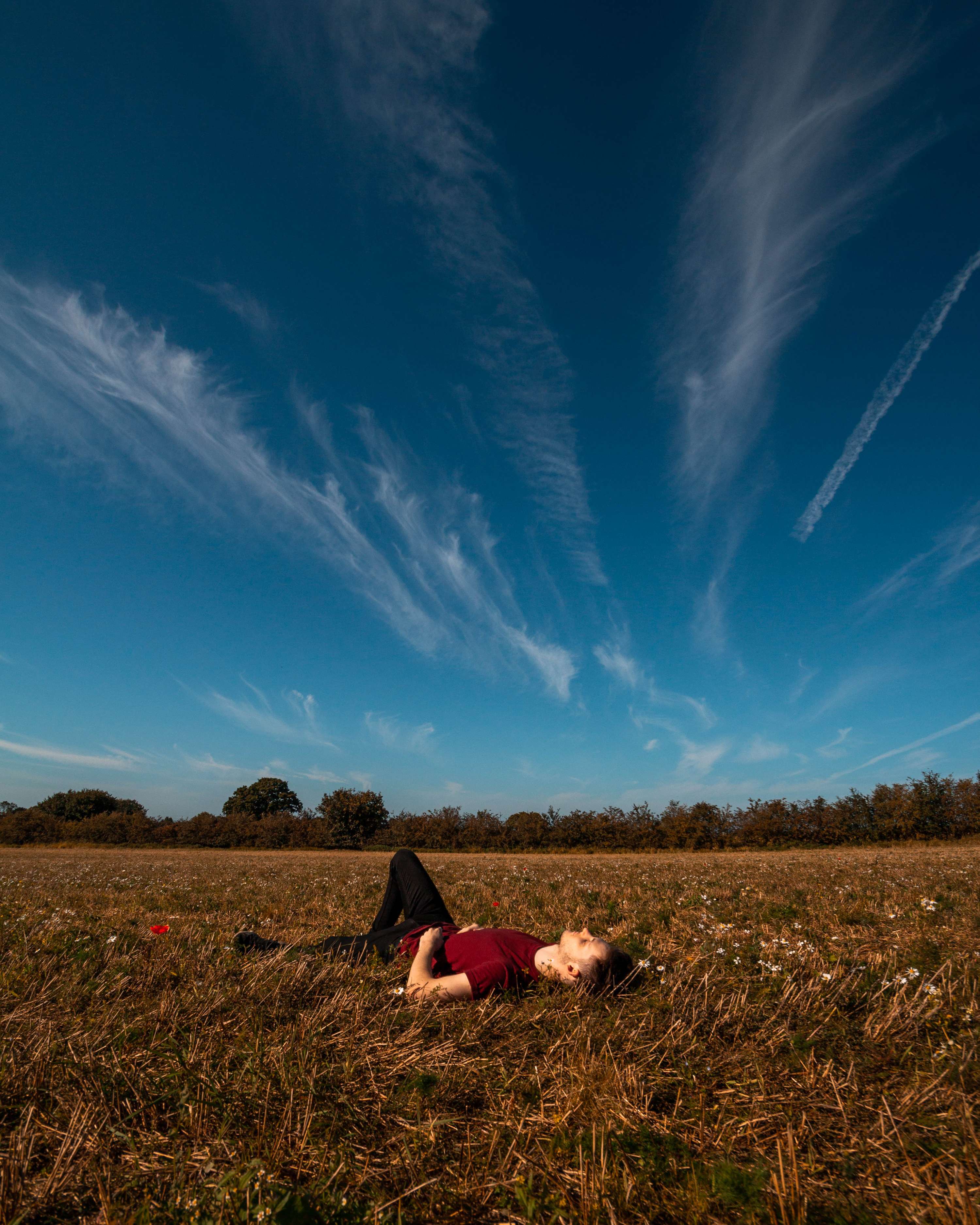 Sky's the Limit by Charlotte Macauley