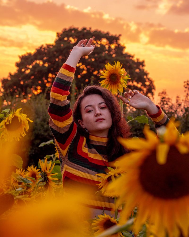 Sunflower Vol. 6 by Charlotte Macauley