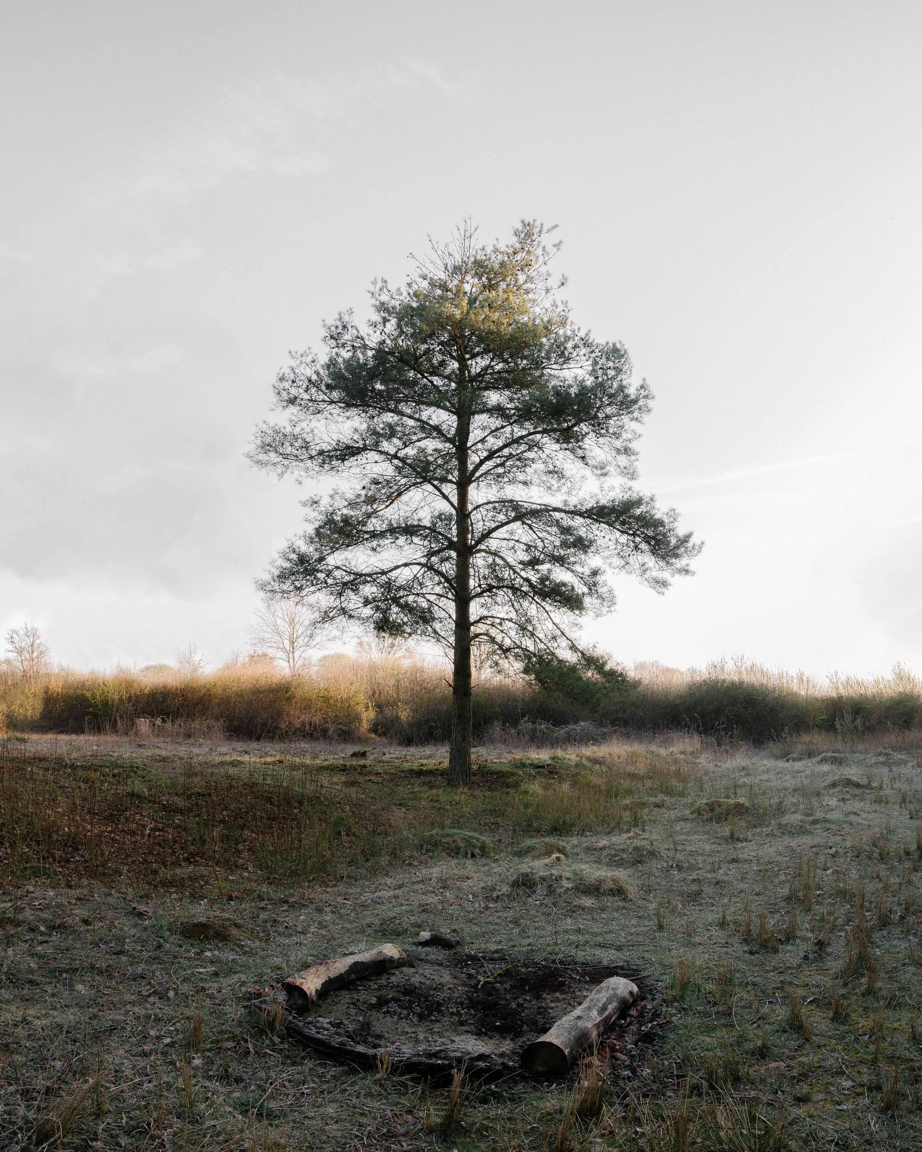A Wake For The Wild by Ben Kite