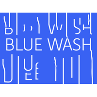 Blue Wash Limited logo