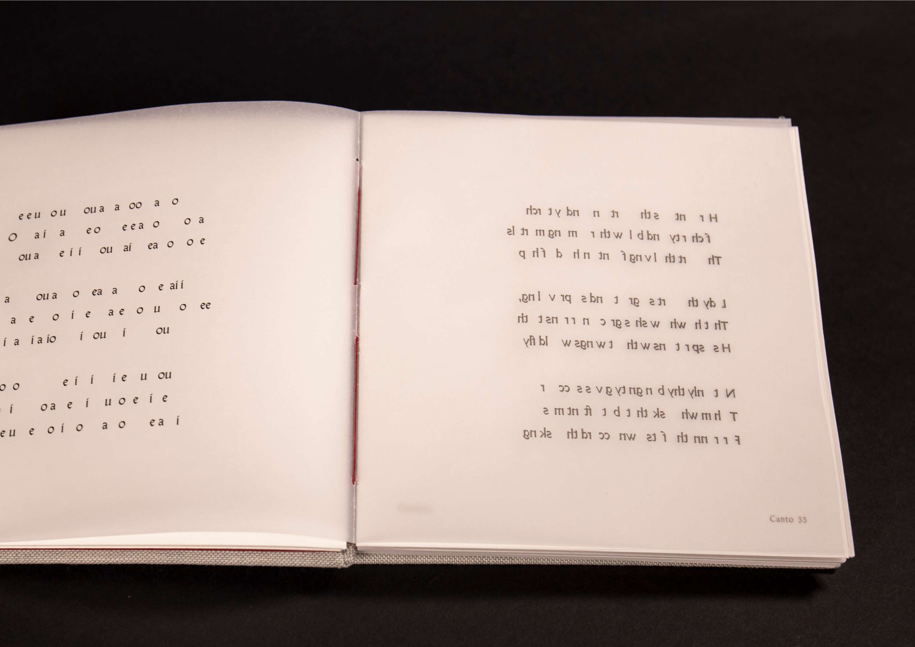Paradiso  (ISTD) by Penny Wright